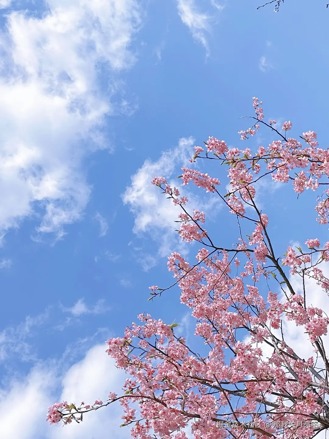 那我关月亮咯于2025-03-17 11:18发布的图片