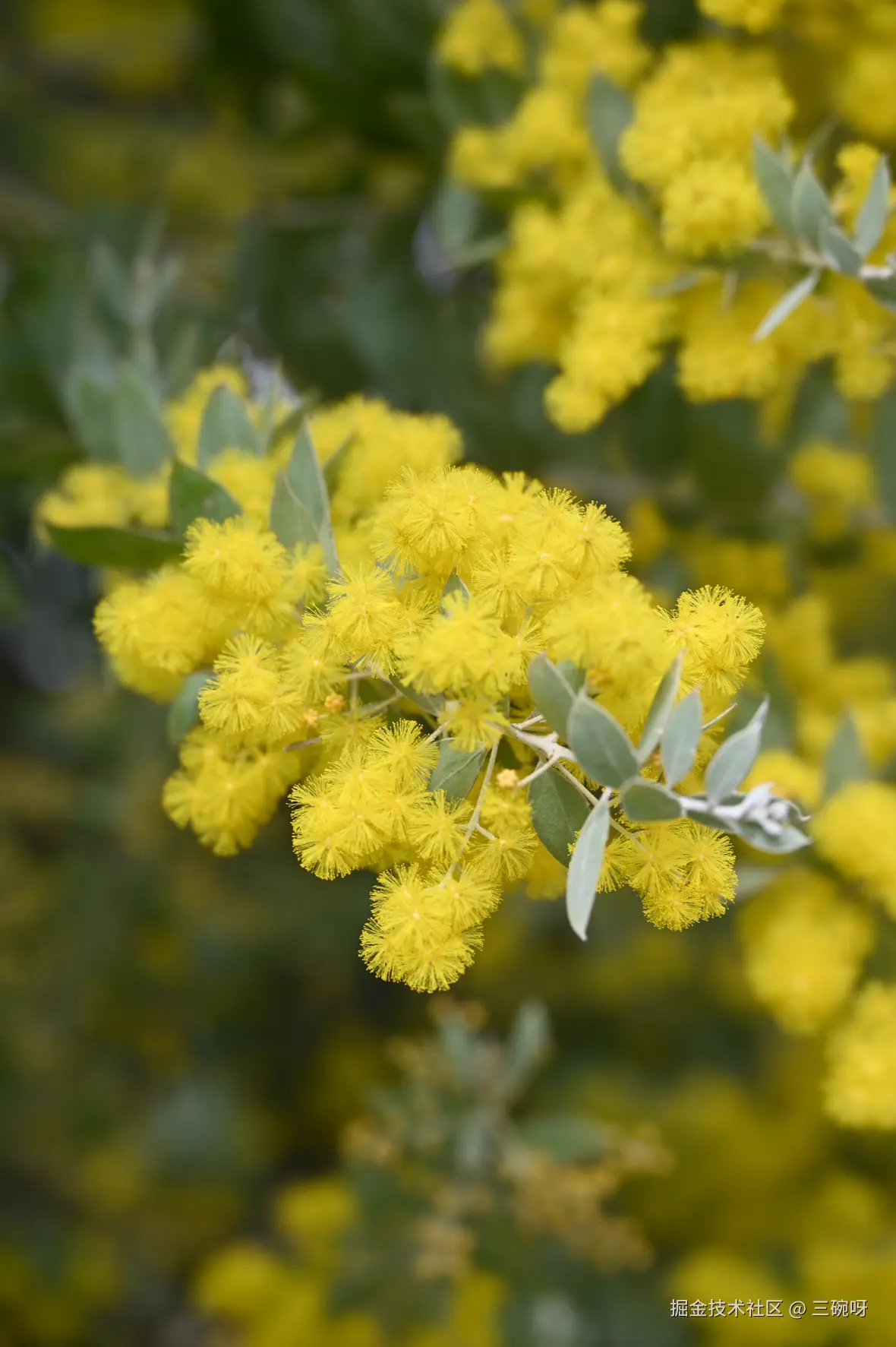 三碗呀于2025-02-17 16:01发布的图片