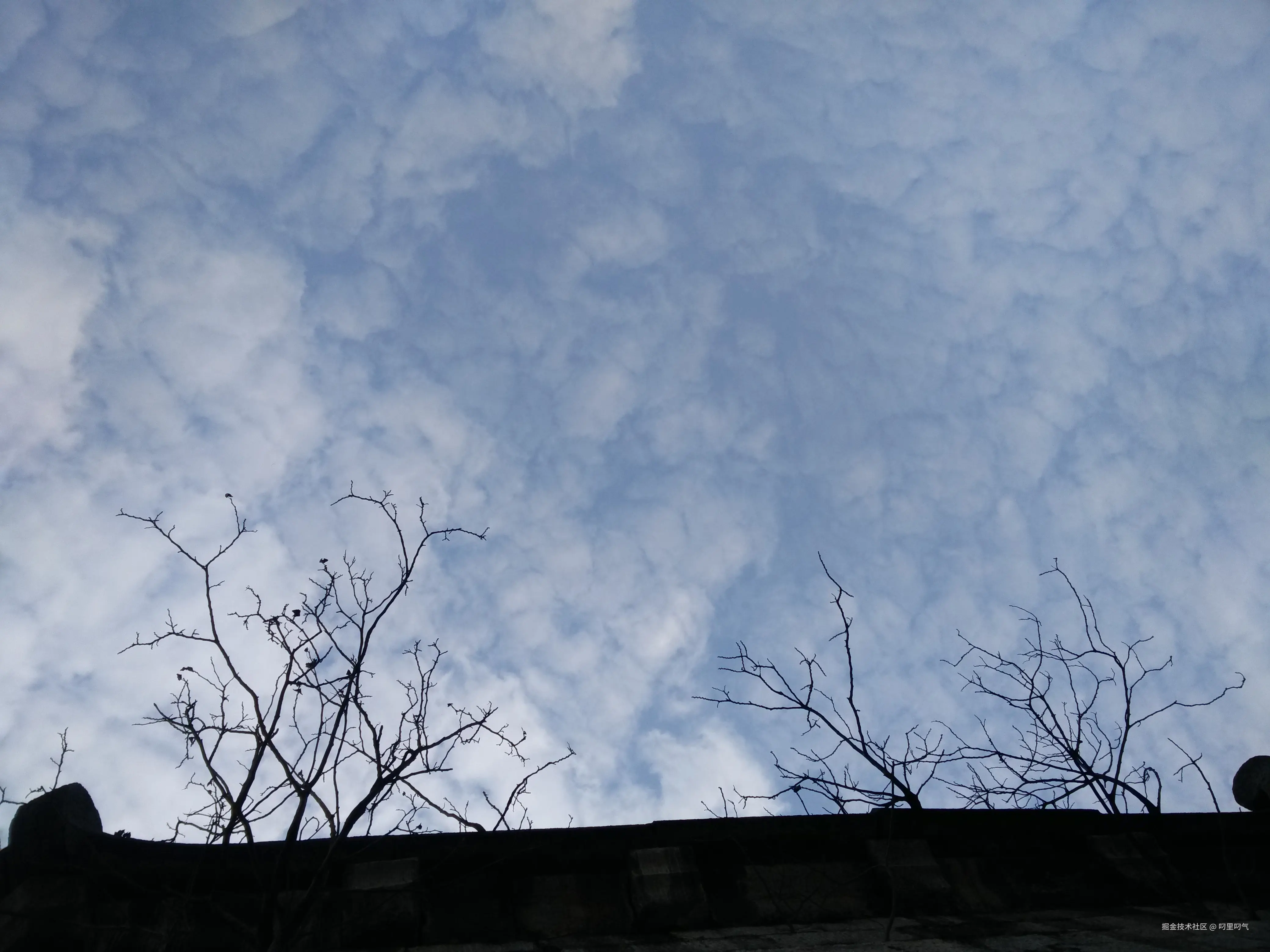 叼里叼气于2024-11-15 14:30发布的图片