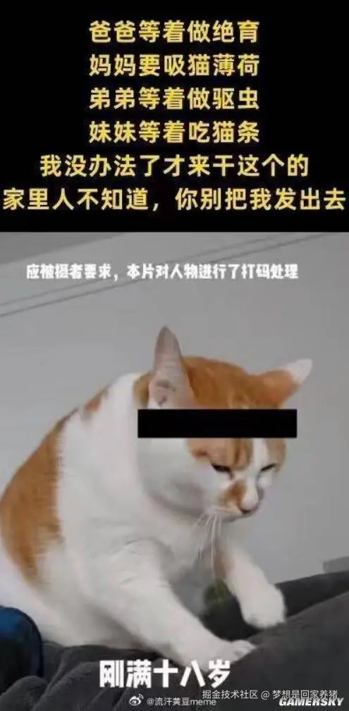 梦想是回家养猪于2025-10-28 15:57发布的图片