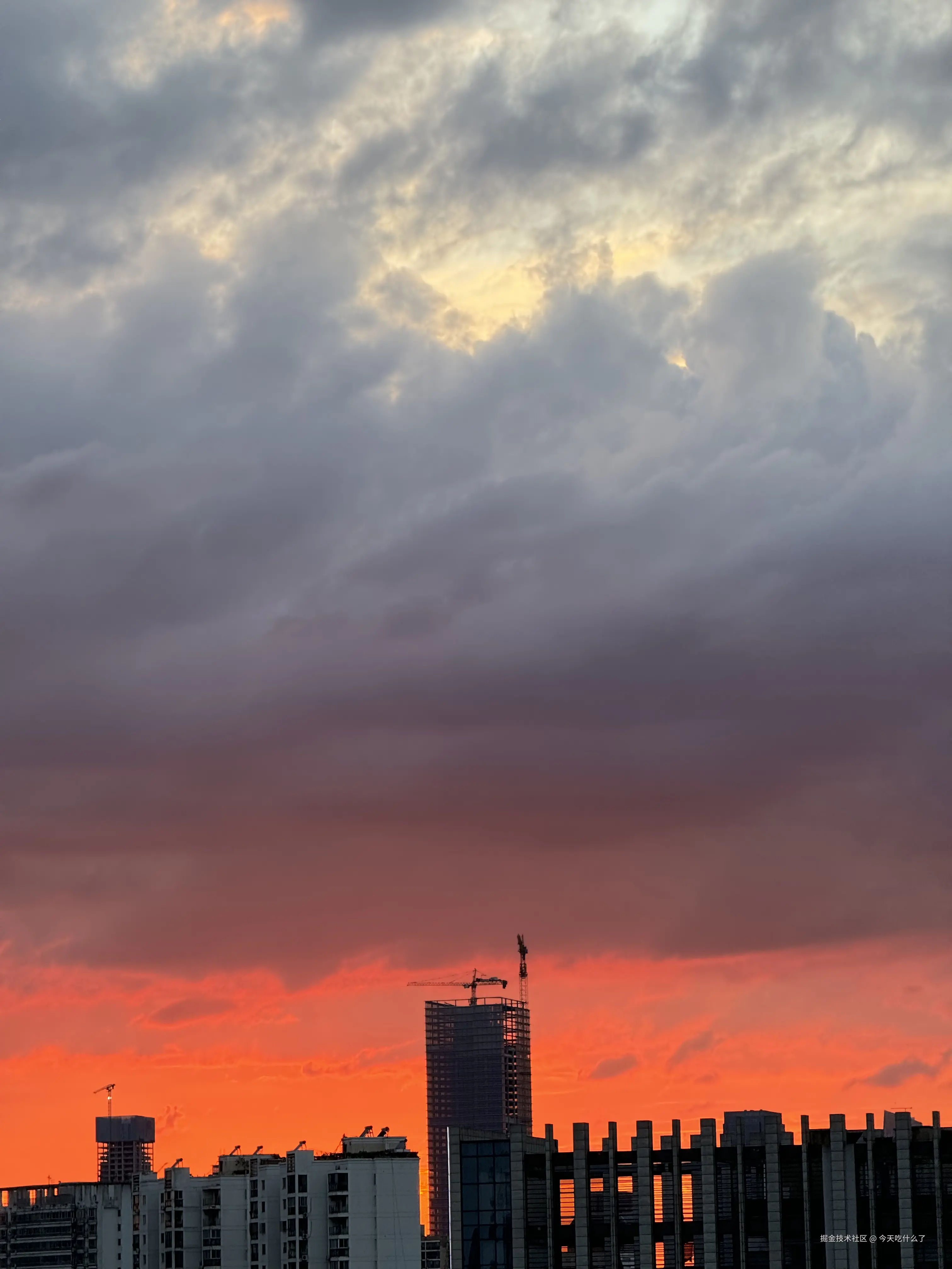 今天吃什么了于2024-08-08 01:47发布的图片