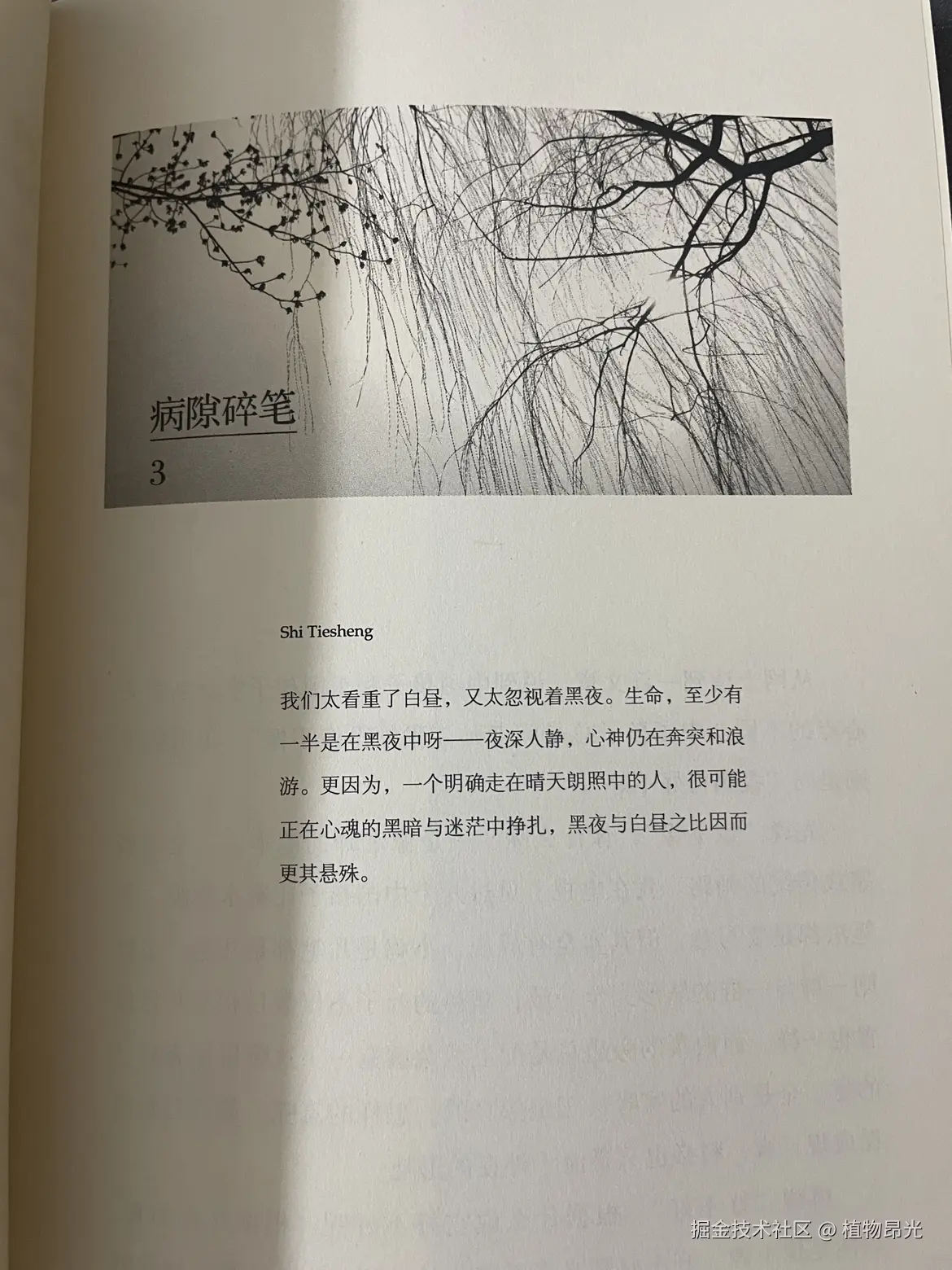 植物昂光于2026-05-16 21:45发布的图片