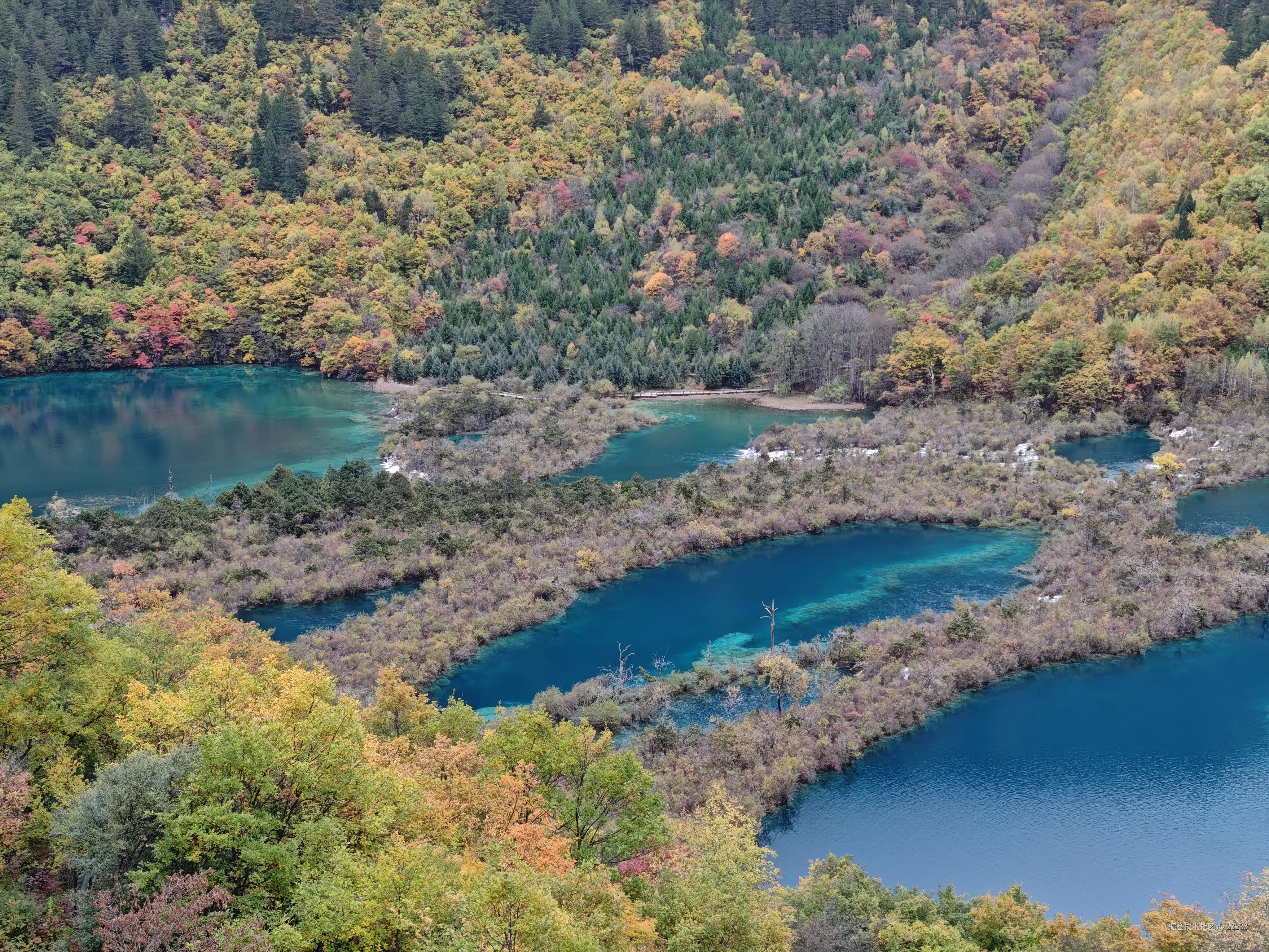 23233于2025-11-06 15:52发布的图片