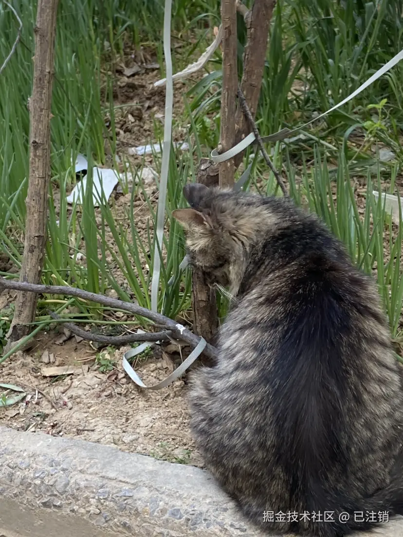 已注销于2025-04-06 11:58发布的图片