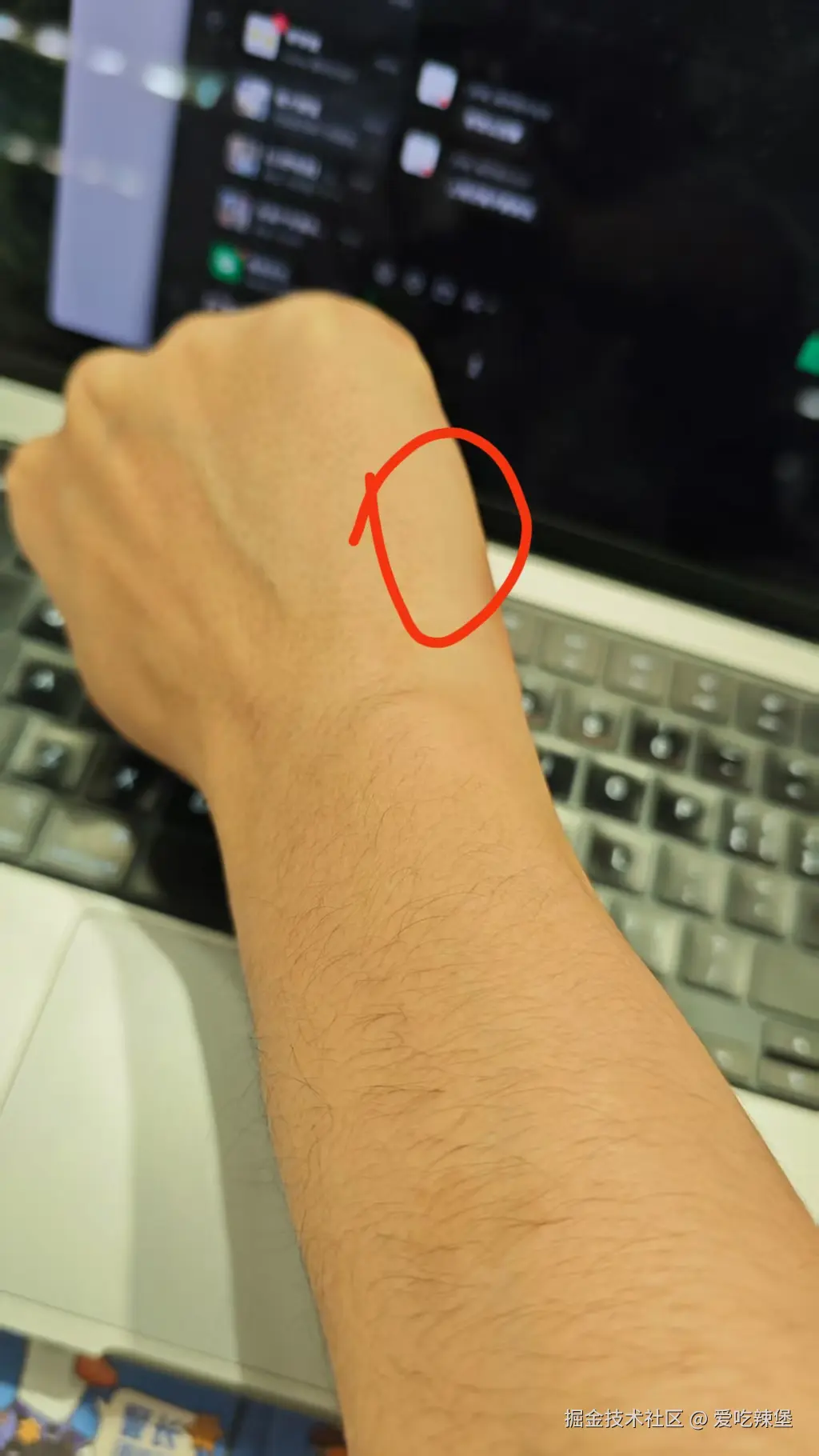 爱吃辣堡于2026-01-30 16:10发布的图片