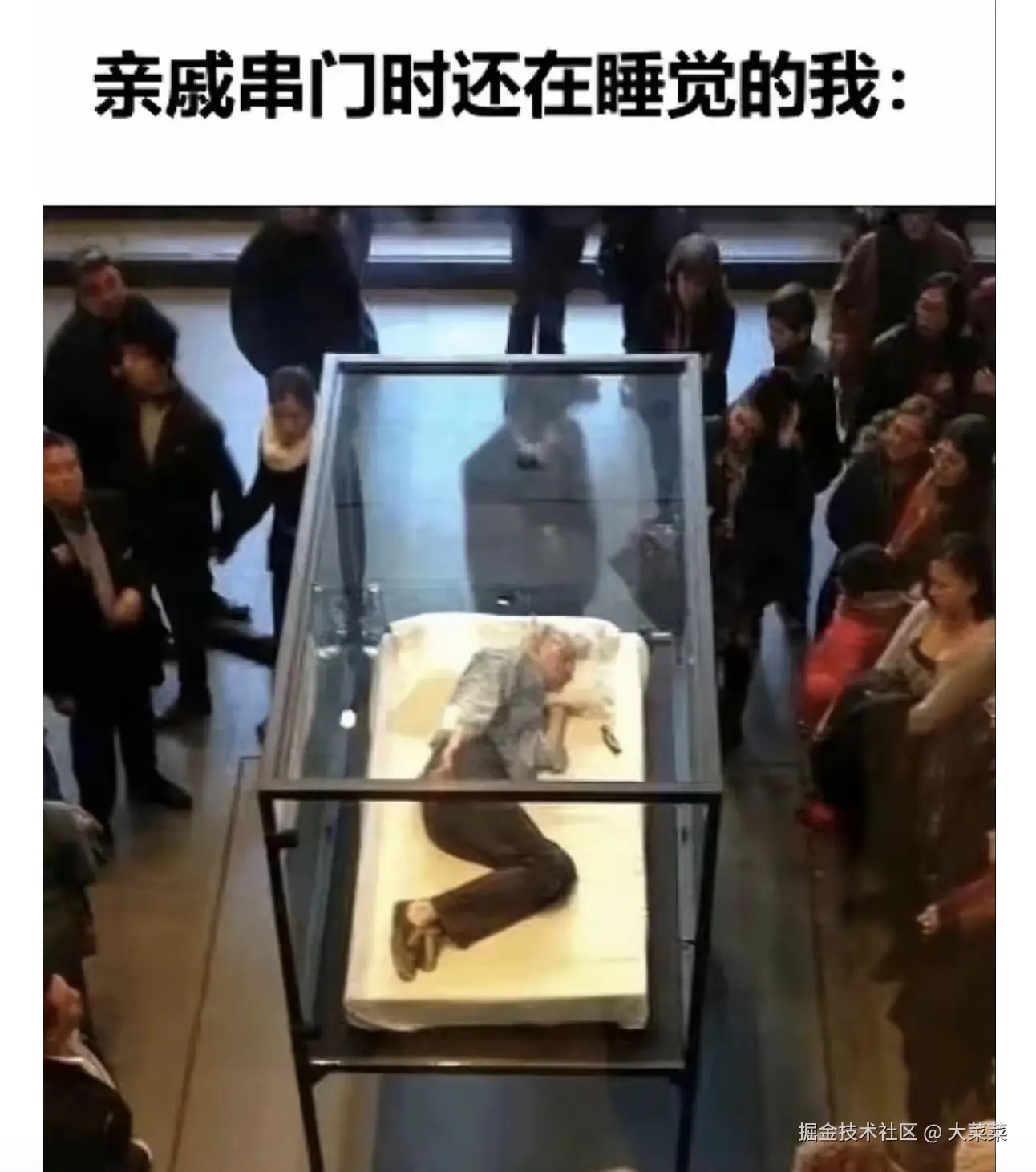 大菜菜于2025-01-21 09:55发布的图片