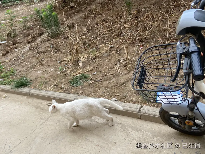 已注销于2025-06-21 13:24发布的图片