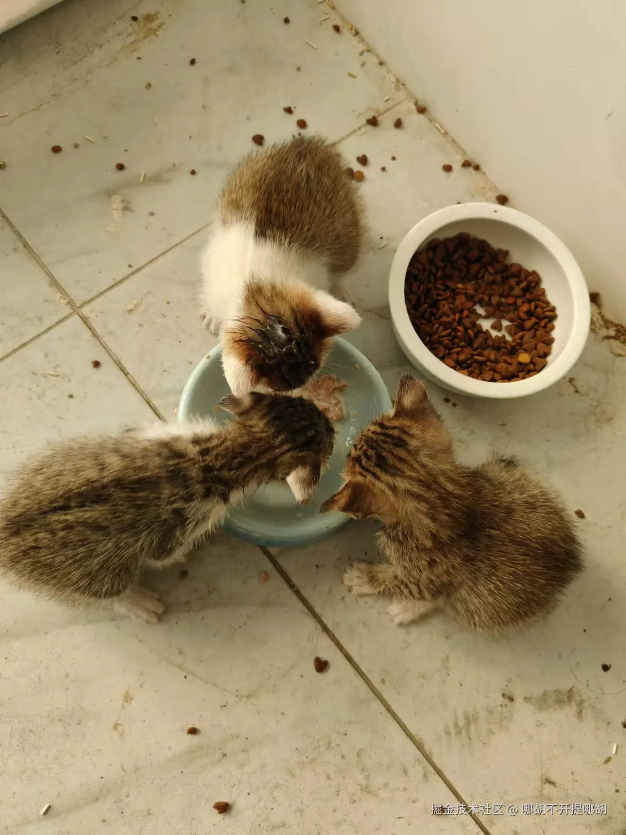 哪胡不开提哪胡于2024-12-02 09:42发布的图片