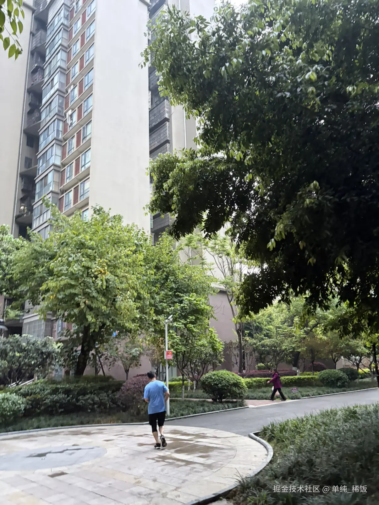 单纯_稀饭于2026-04-02 07:59发布的图片