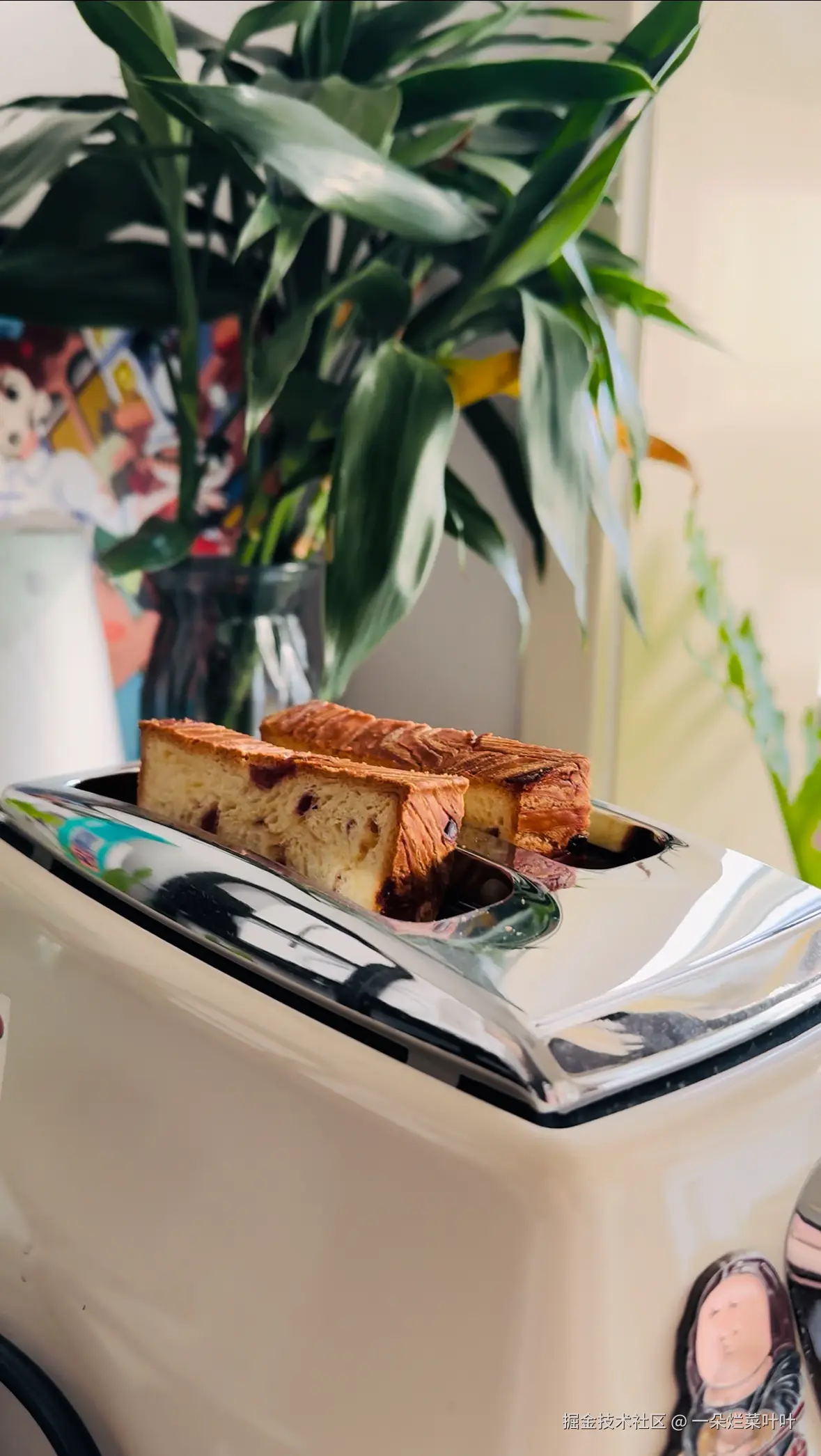 一朵烂菜叶叶于2025-04-02 11:42发布的图片