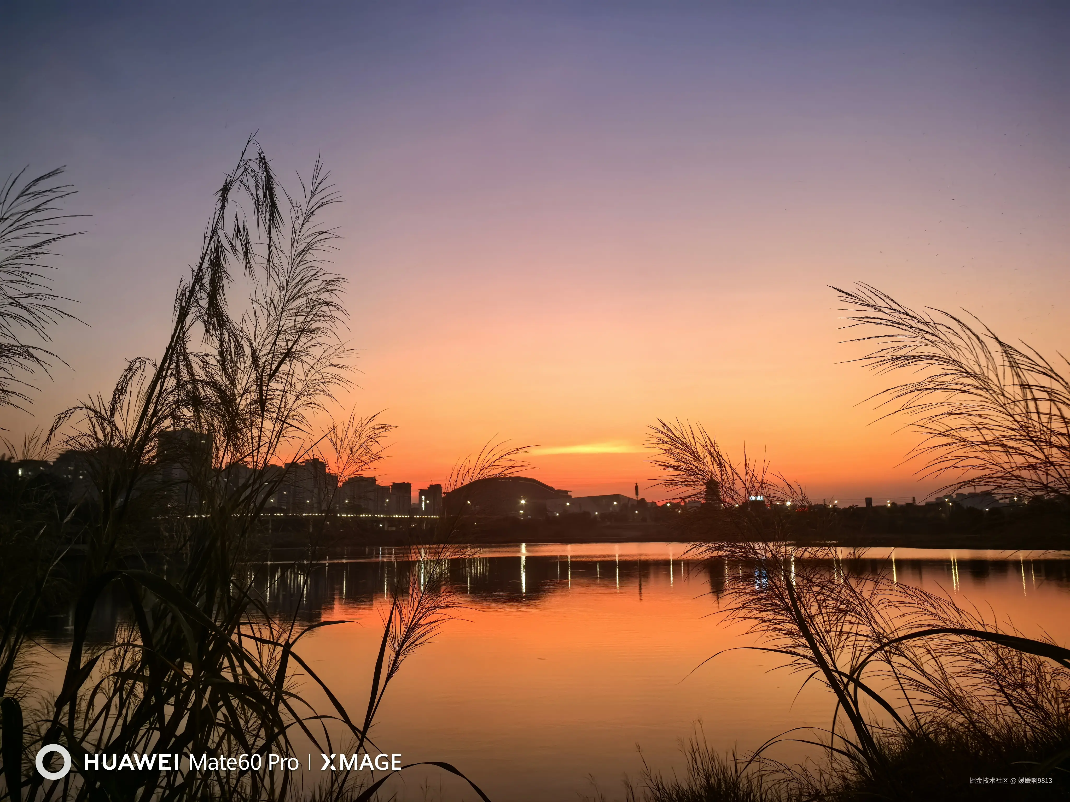 媛媛啊9813于2024-11-04 07:14发布的图片