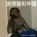 我不爱摸鱼于2024-10-26 07:09发布的图片