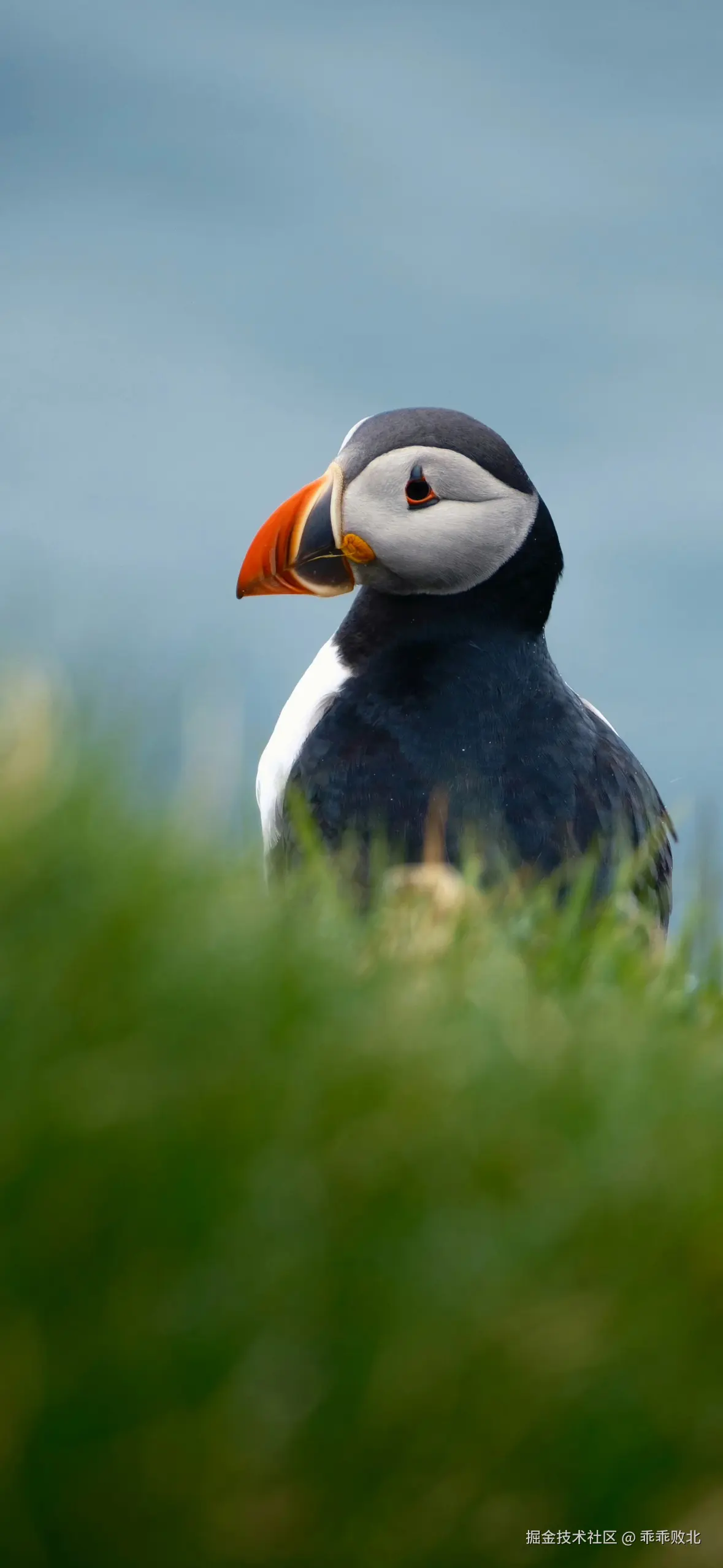 乖乖败北于2025-09-18 14:44发布的图片