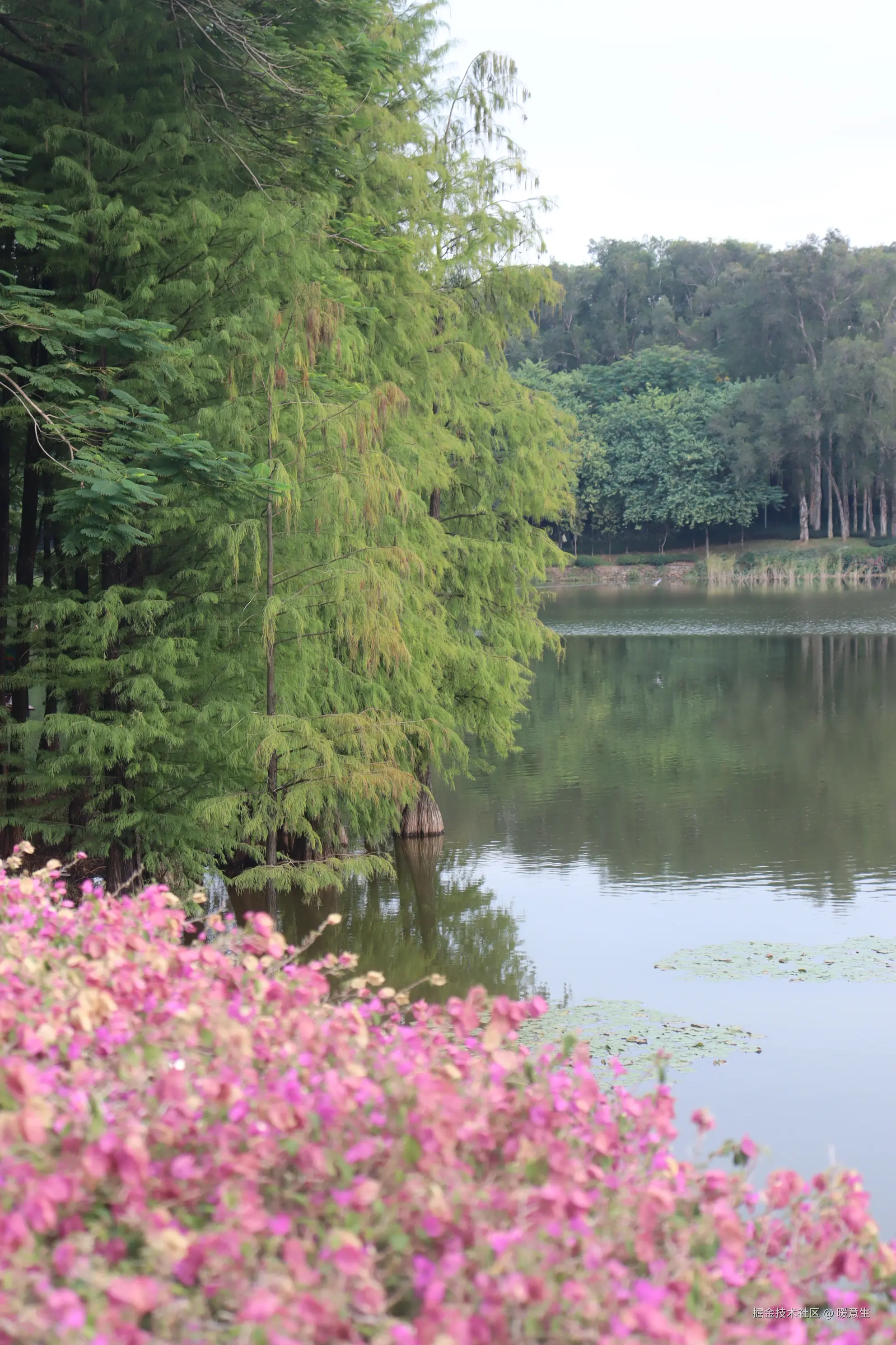 暖意生于2024-11-20 09:32发布的图片