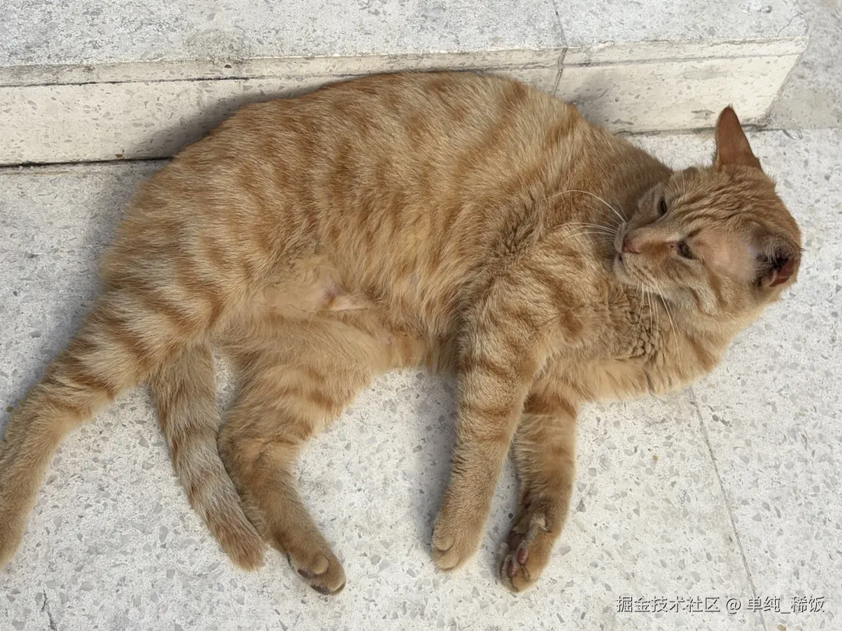 单纯_稀饭于2026-04-11 10:19发布的图片