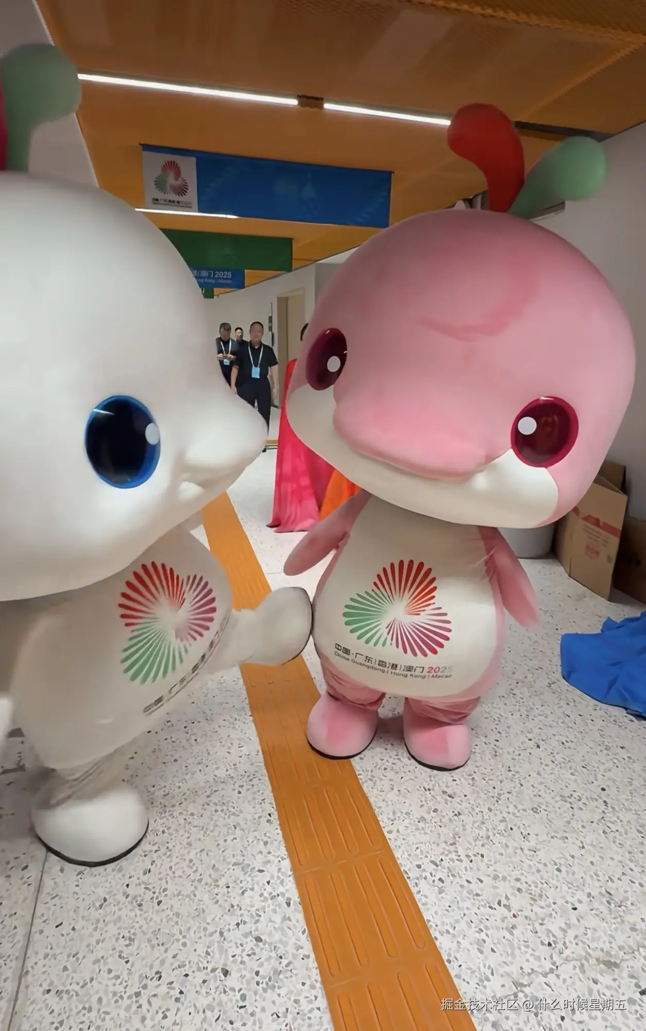 什么时候星期五于2025-11-11 16:35发布的图片