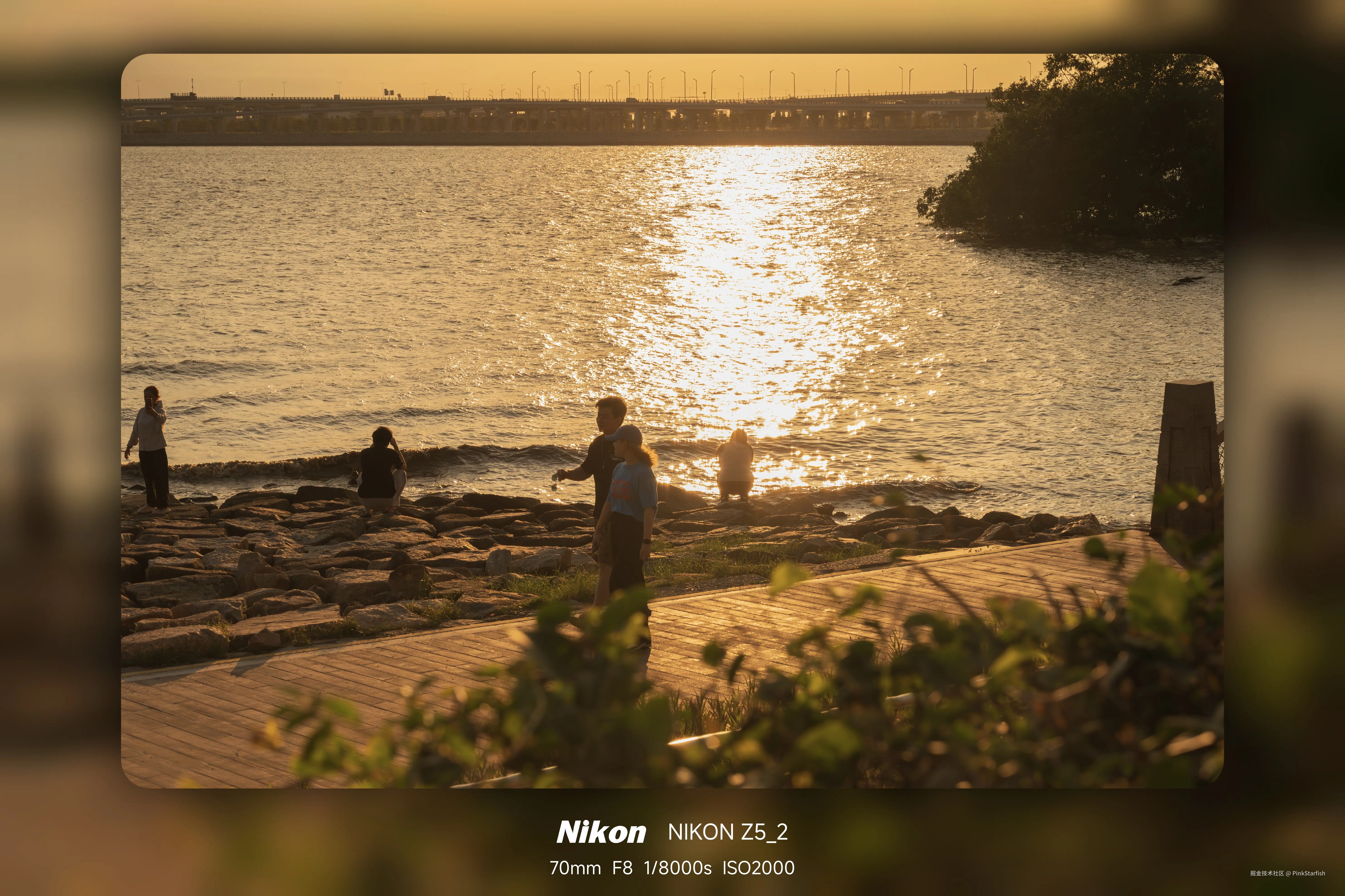 PinkStarfish于2025-06-10 02:49发布的图片