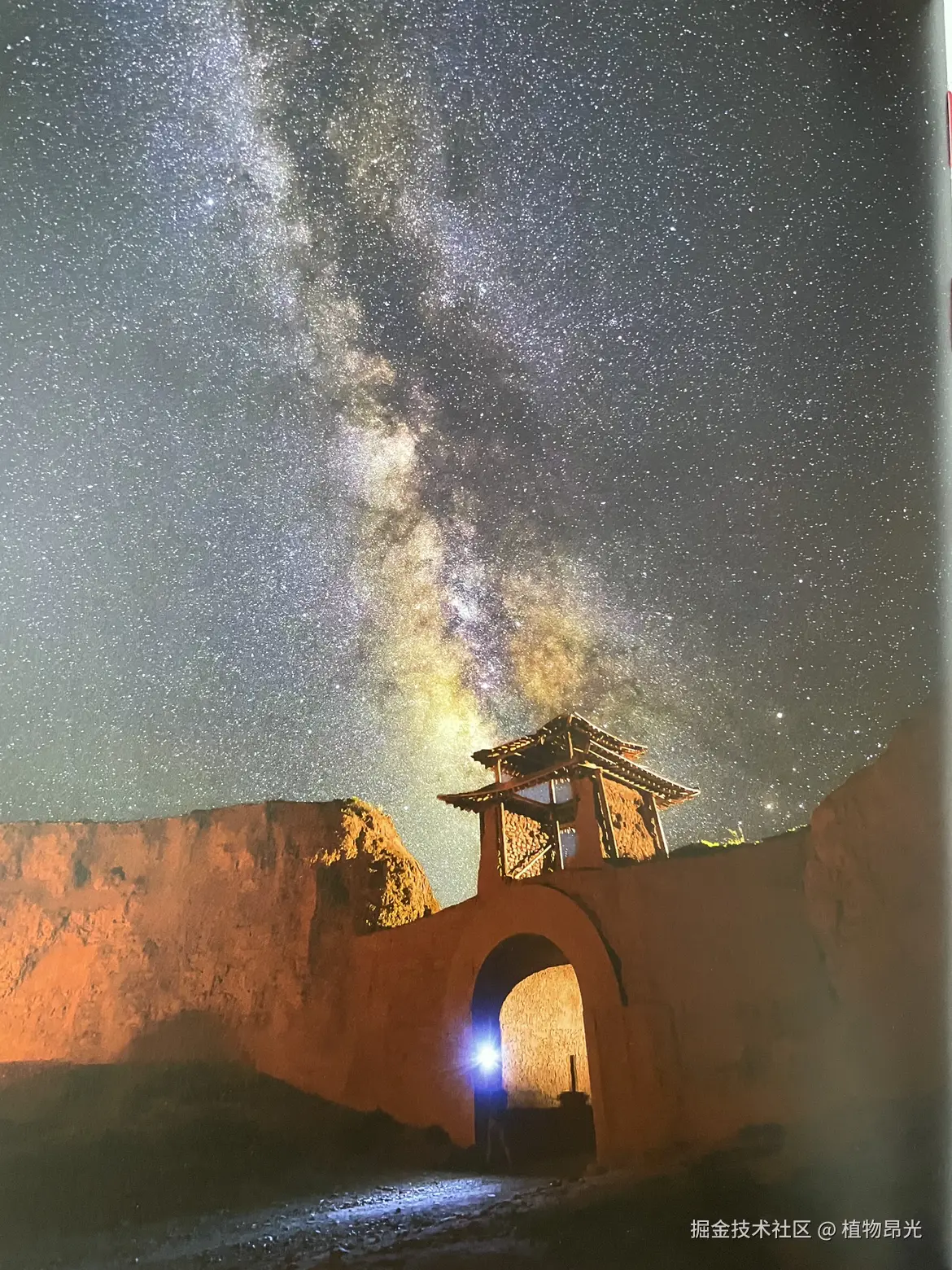 植物昂光于2026-03-24 20:49发布的图片