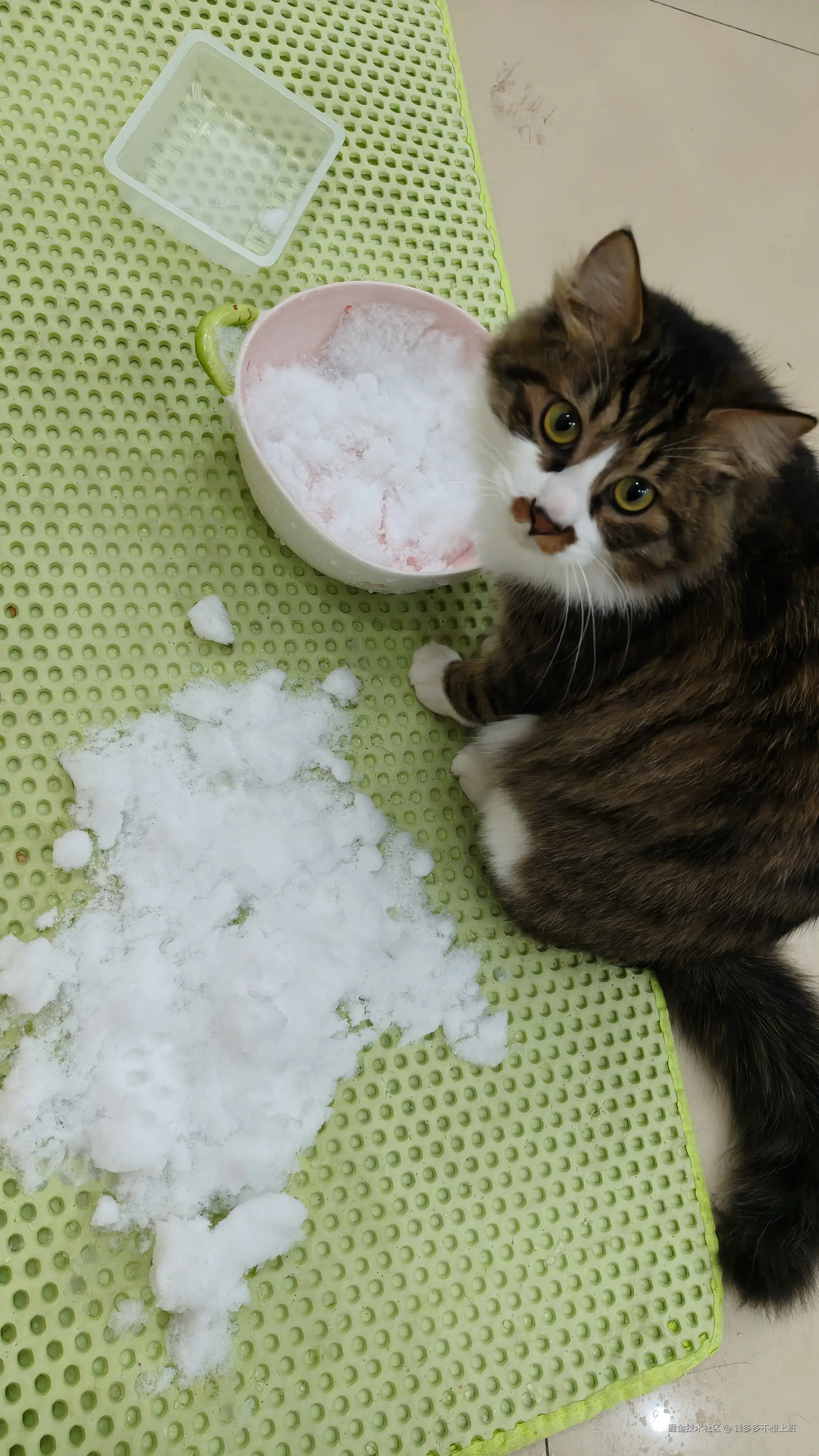 钱多多不想上班于2026-01-21 10:58发布的图片