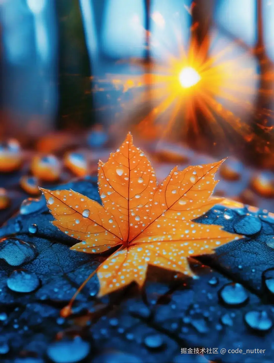 code_nutter于2025-03-03 17:20发布的图片