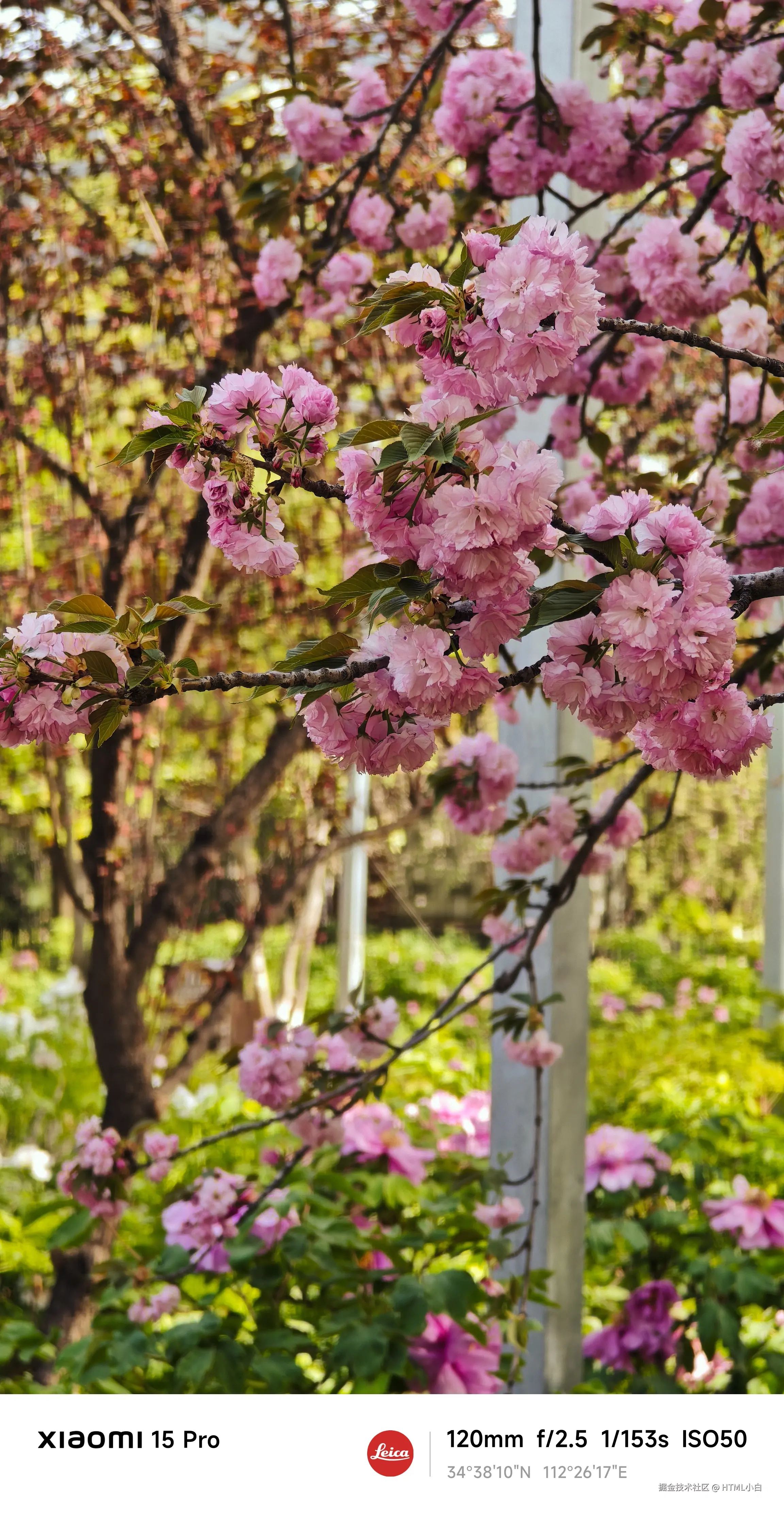 HTML小白于2025-04-07 17:27发布的图片