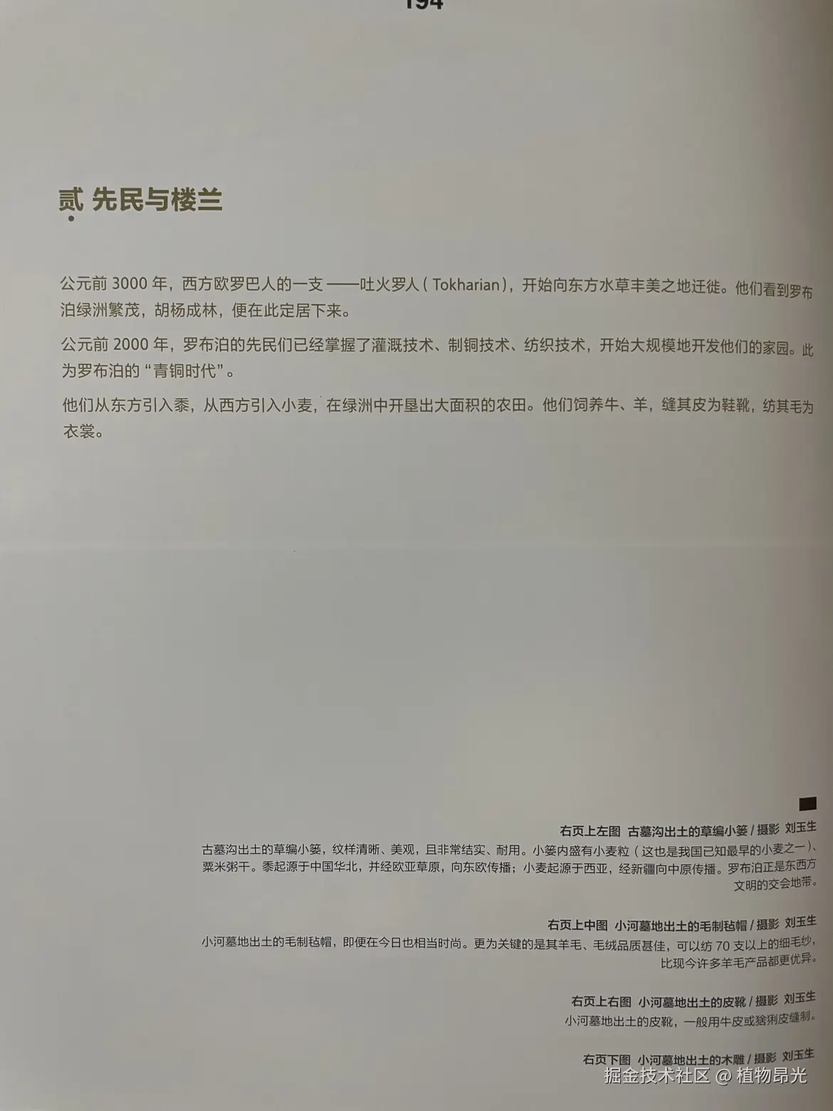 植物昂光于2026-03-21 11:00发布的图片