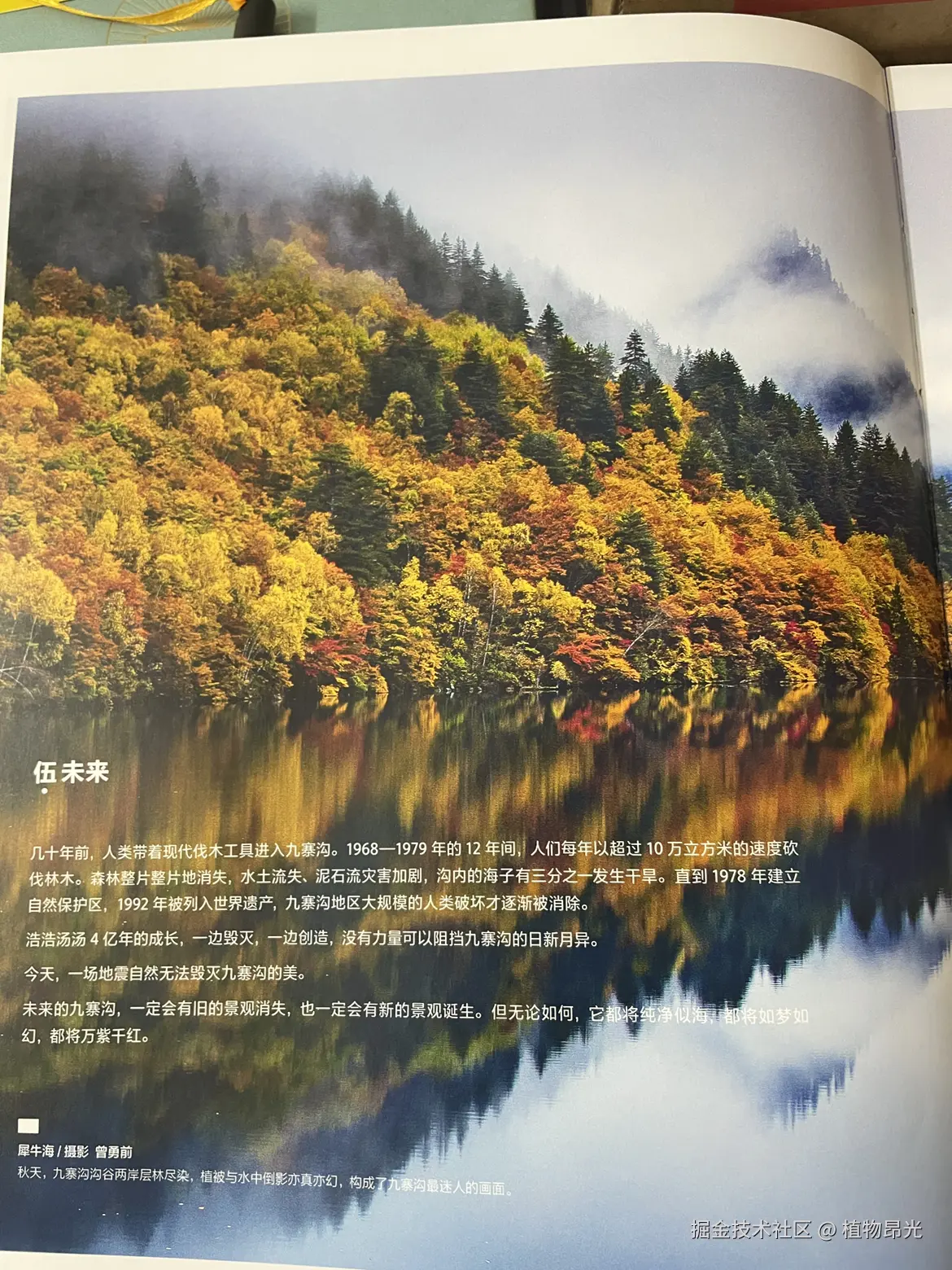 植物昂光于2026-03-12 22:26发布的图片