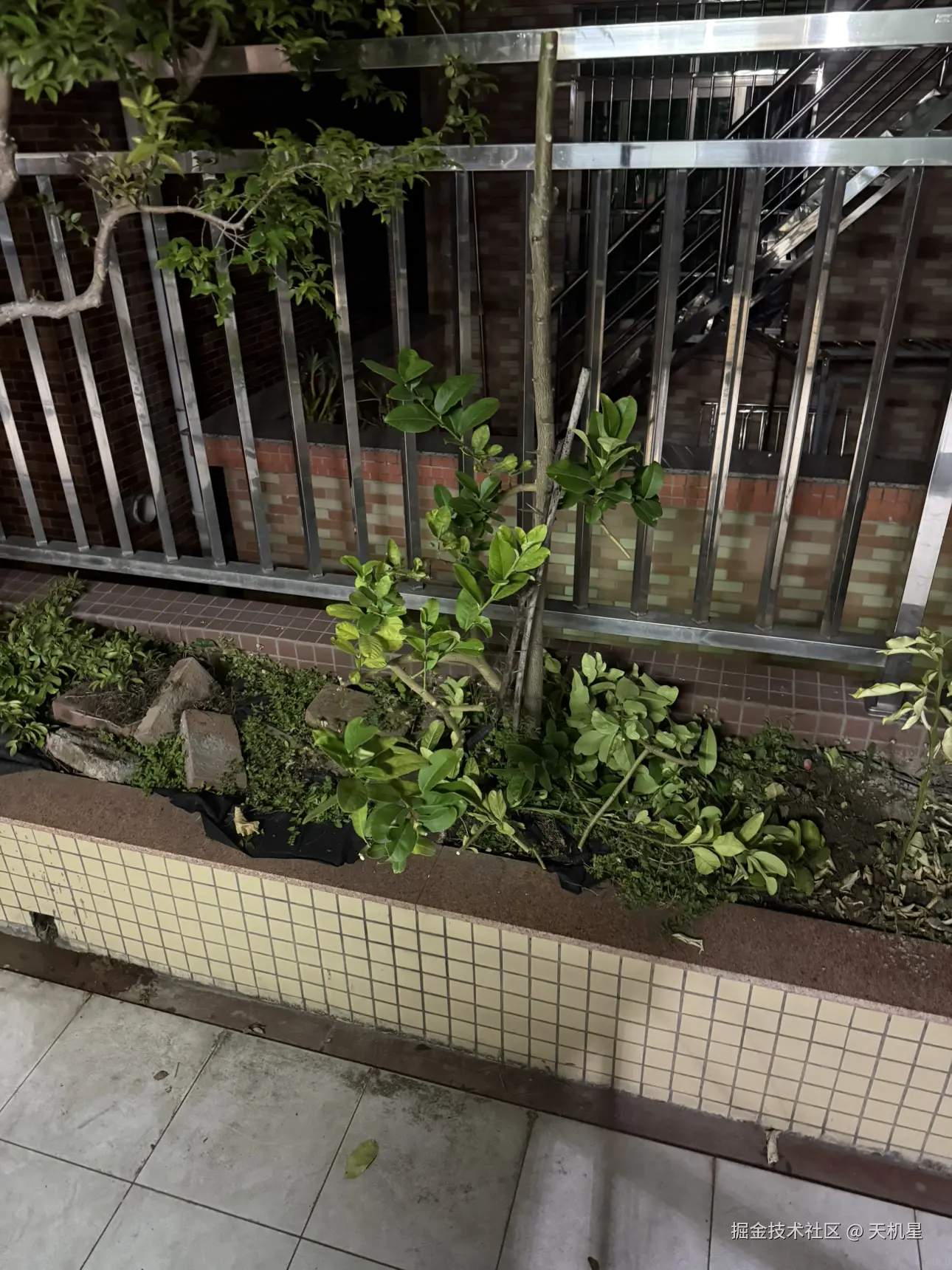 天机星于2025-03-24 10:36发布的图片