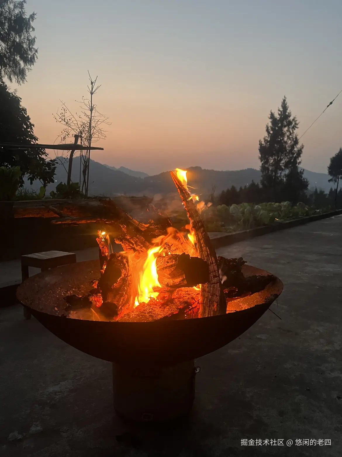 悠闲的老四于2025-01-25 08:55发布的图片