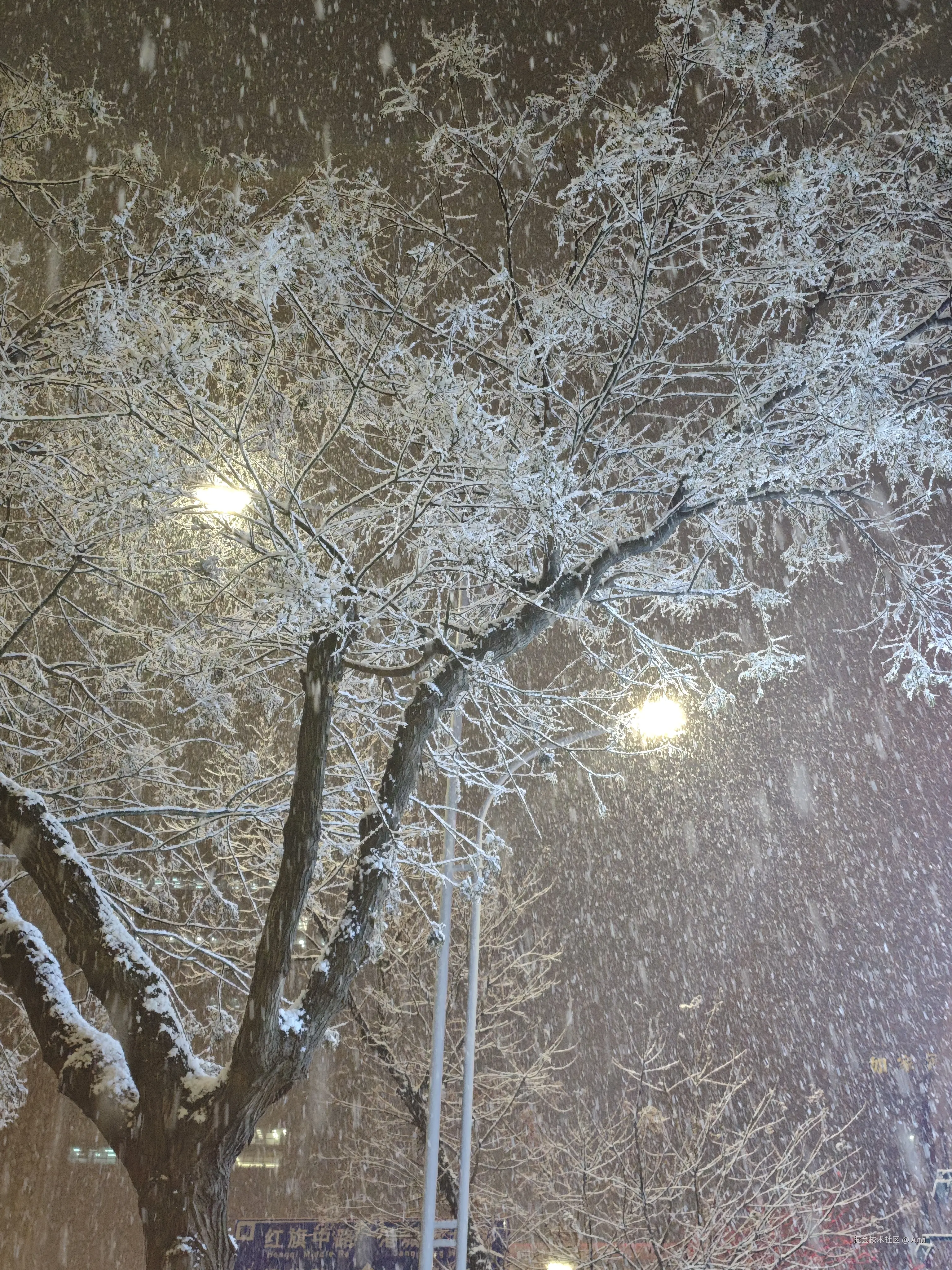 Ann于2025-01-15 09:38发布的图片