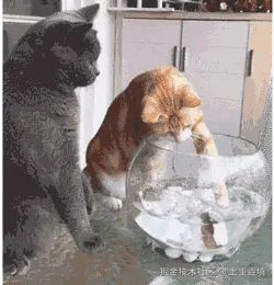 土圭垚墝于2025-04-07 10:05发布的图片