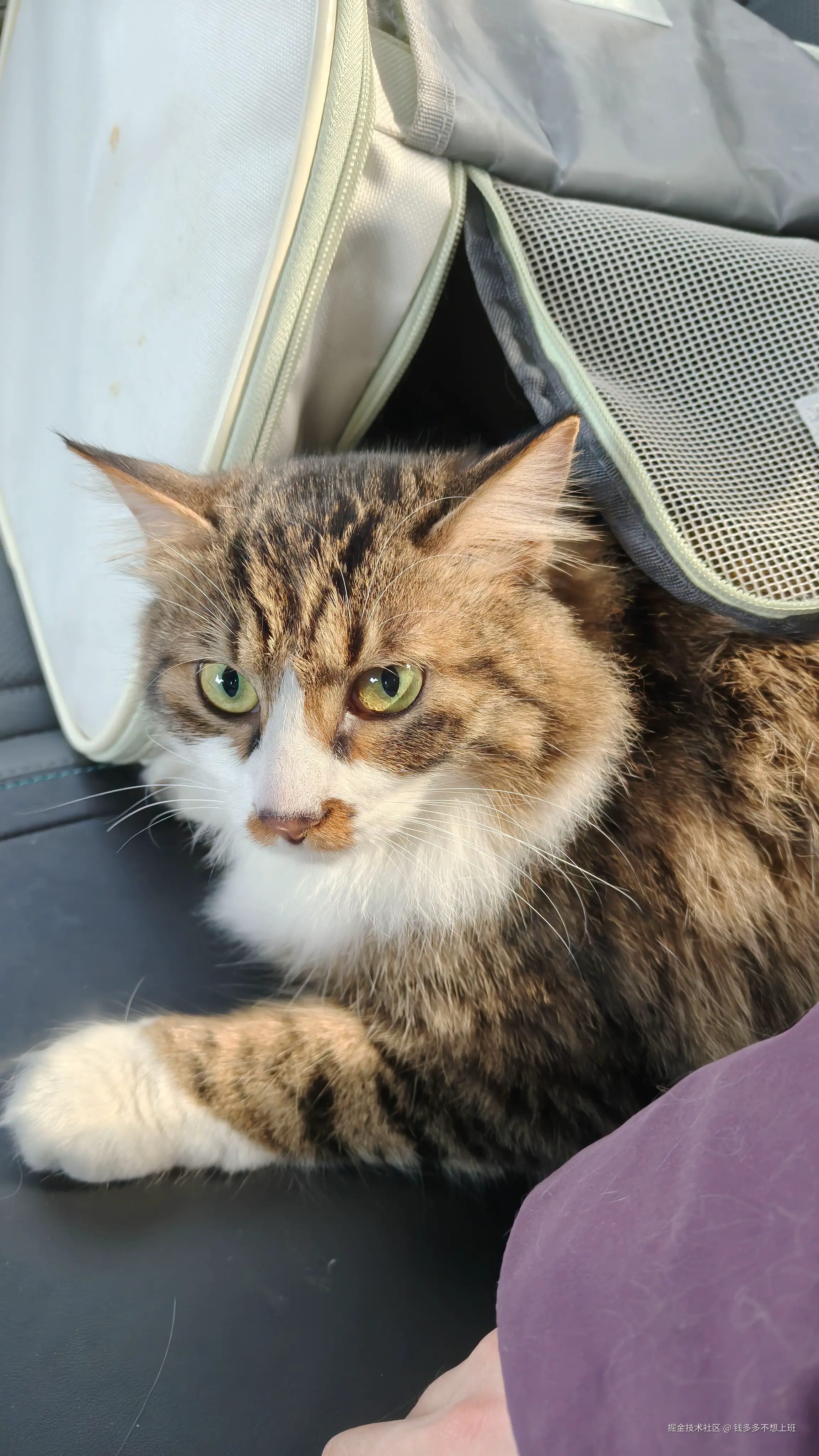 钱多多不想上班于2026-02-09 08:14发布的图片