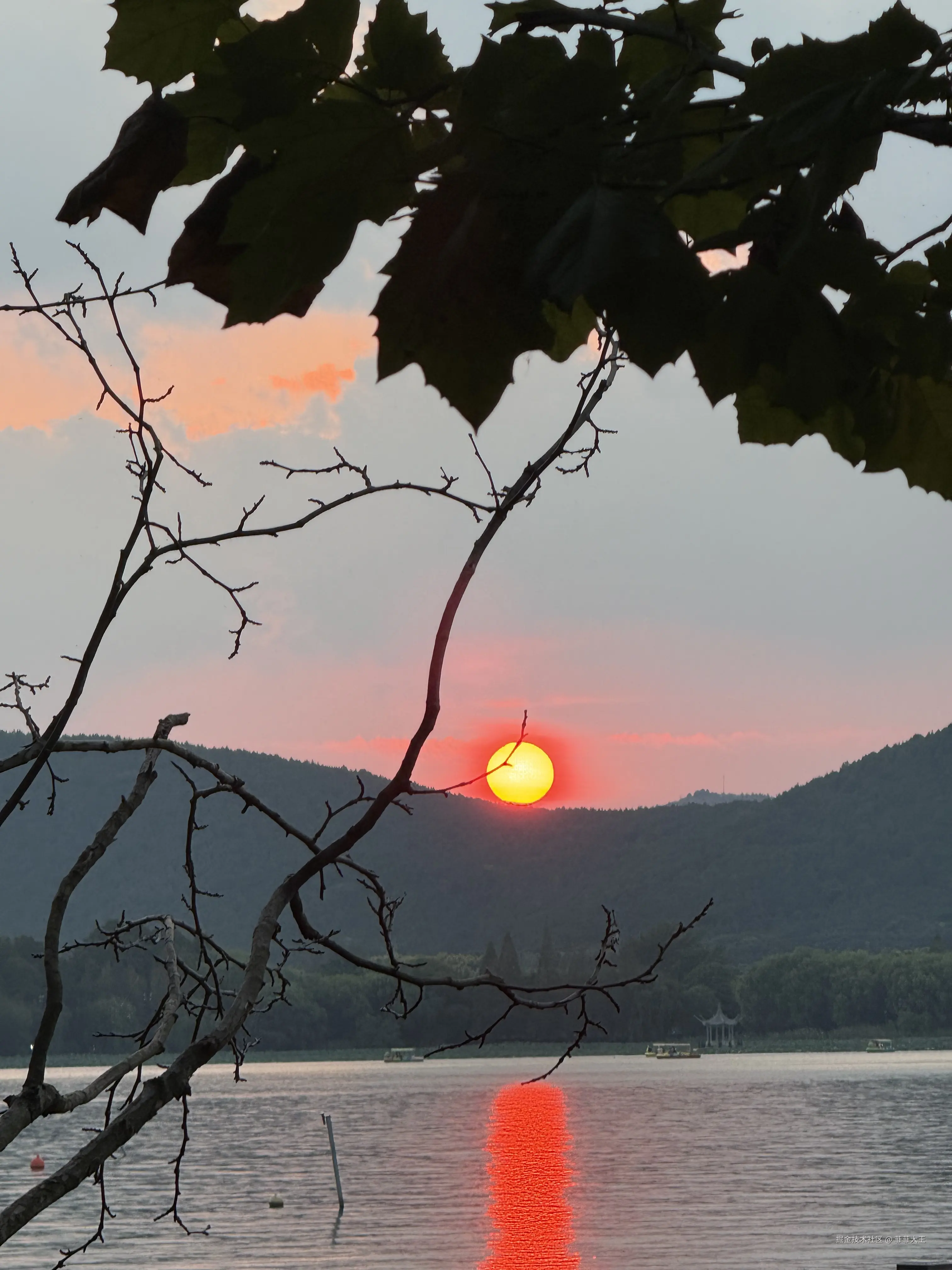 菲菲大王于2025-09-22 13:11发布的图片