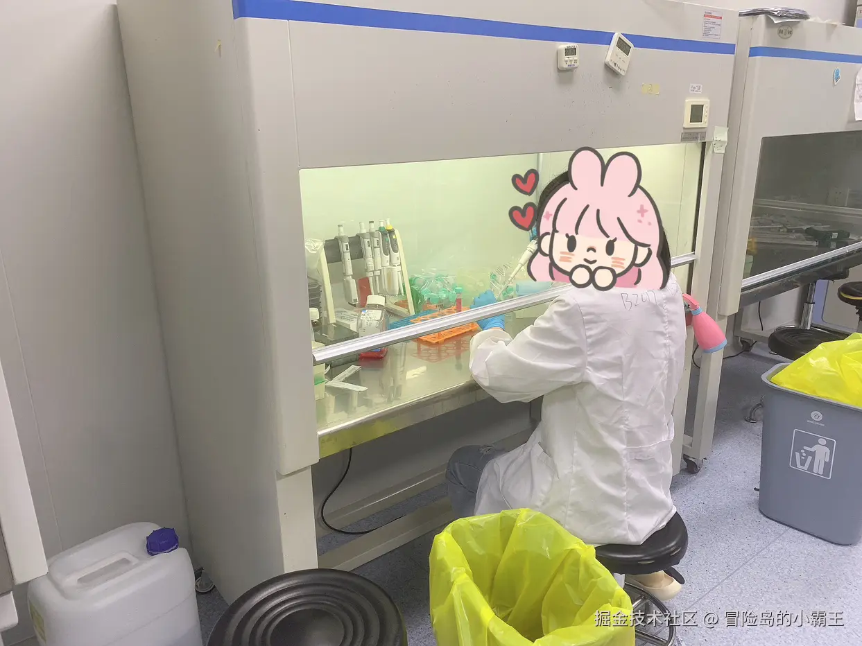 冒险岛的小霸王于2025-10-11 10:25发布的图片