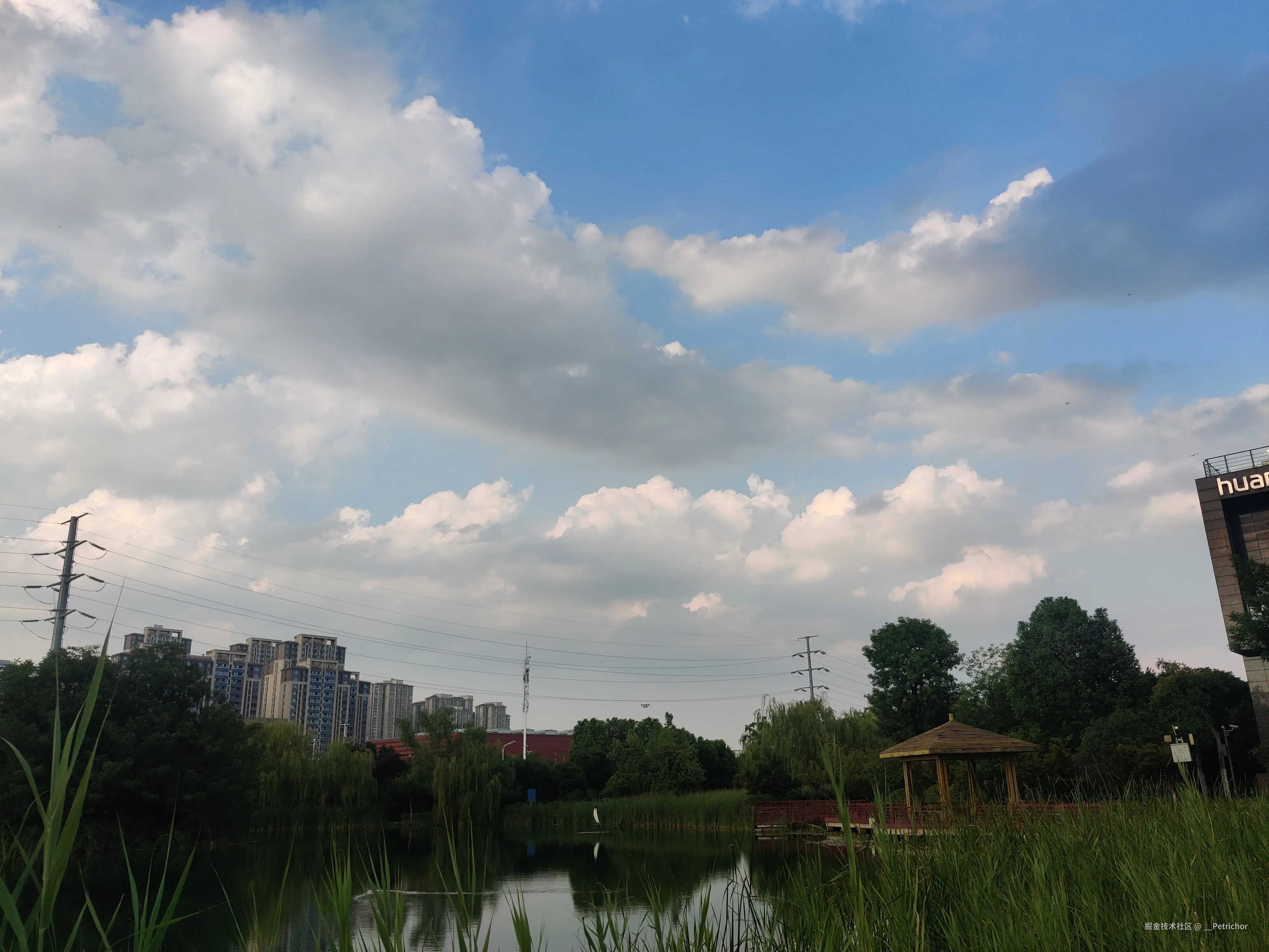 __Petrichor于2024-08-05 17:37发布的图片