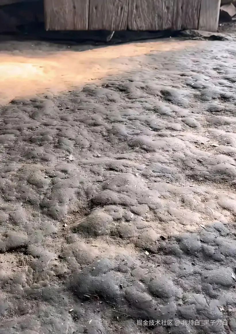 我持白_黑子为白于2025-12-23 11:13发布的图片