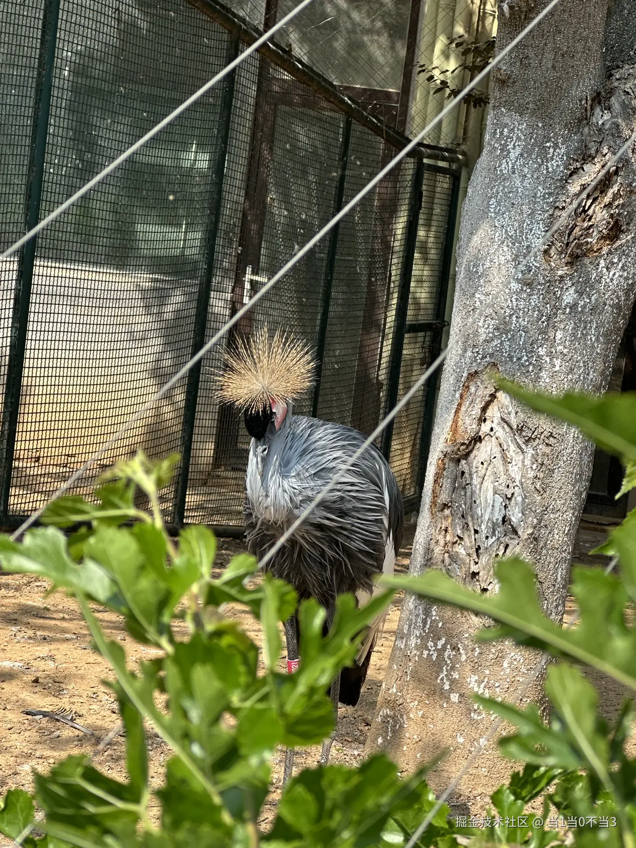 当1当0不当3于2025-06-05 12:40发布的图片