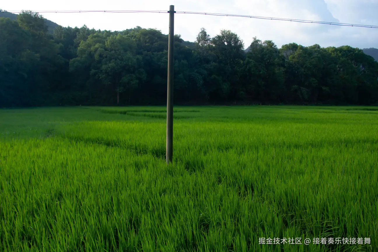 接着奏乐快接着舞于2024-09-26 00:54发布的图片