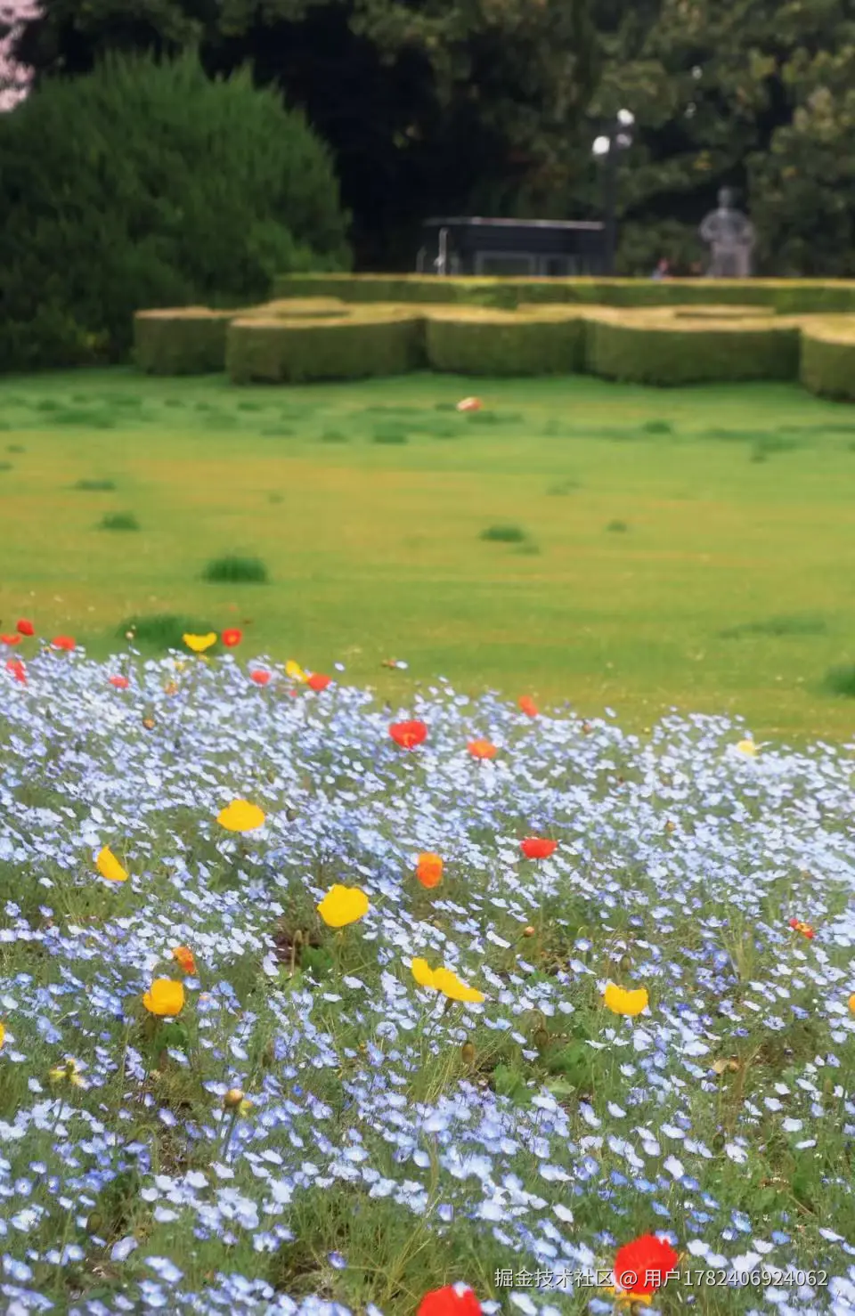 用户1782406924062于2026-04-08 10:09发布的图片