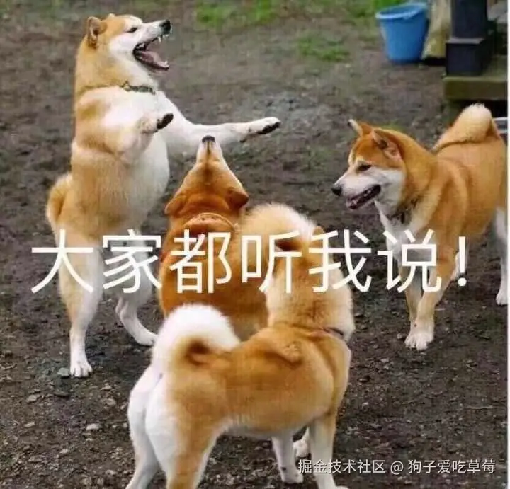 狗子爱吃草莓于2024-08-01 10:18发布的图片