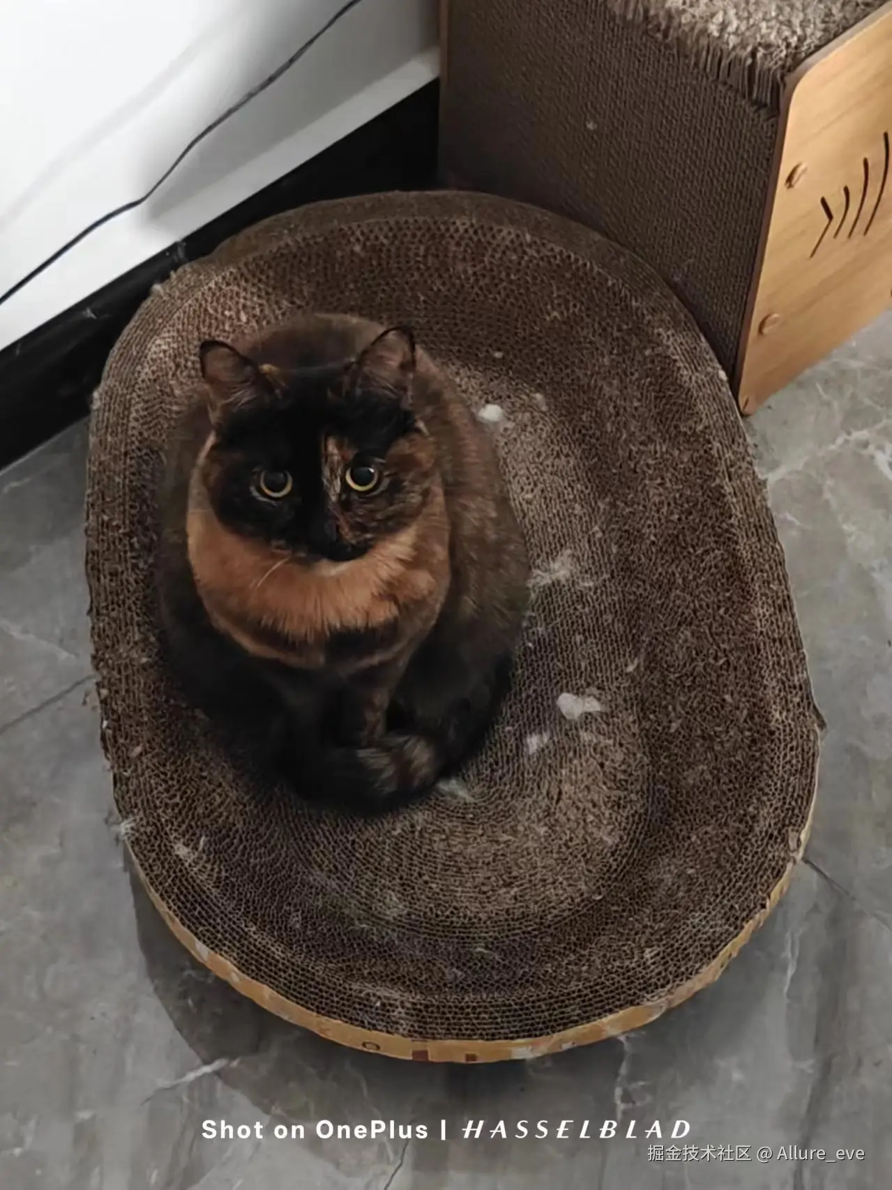 Allure_eve于2024-11-21 09:36发布的图片