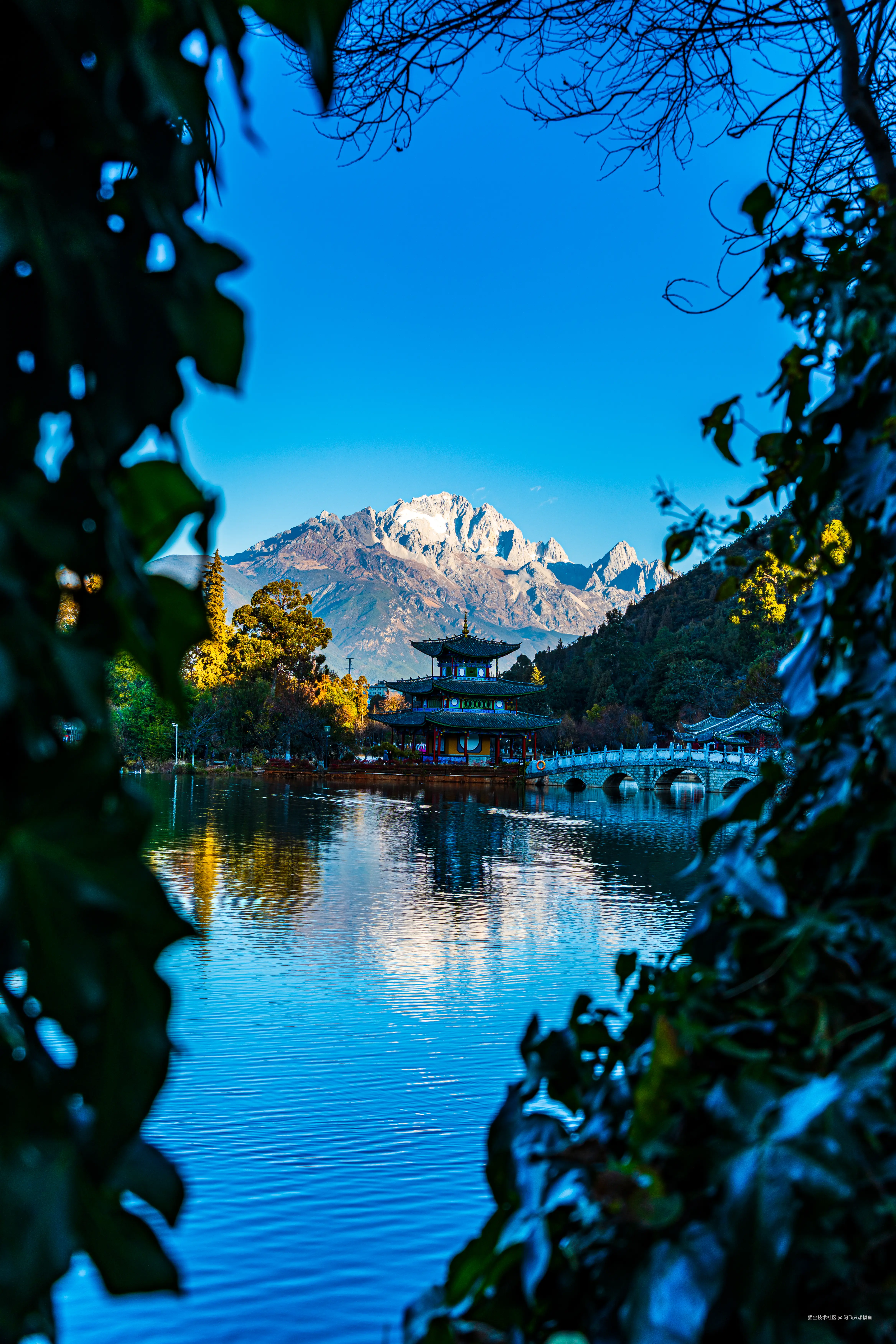 阿飞只想摸鱼于2026-02-11 14:53发布的图片