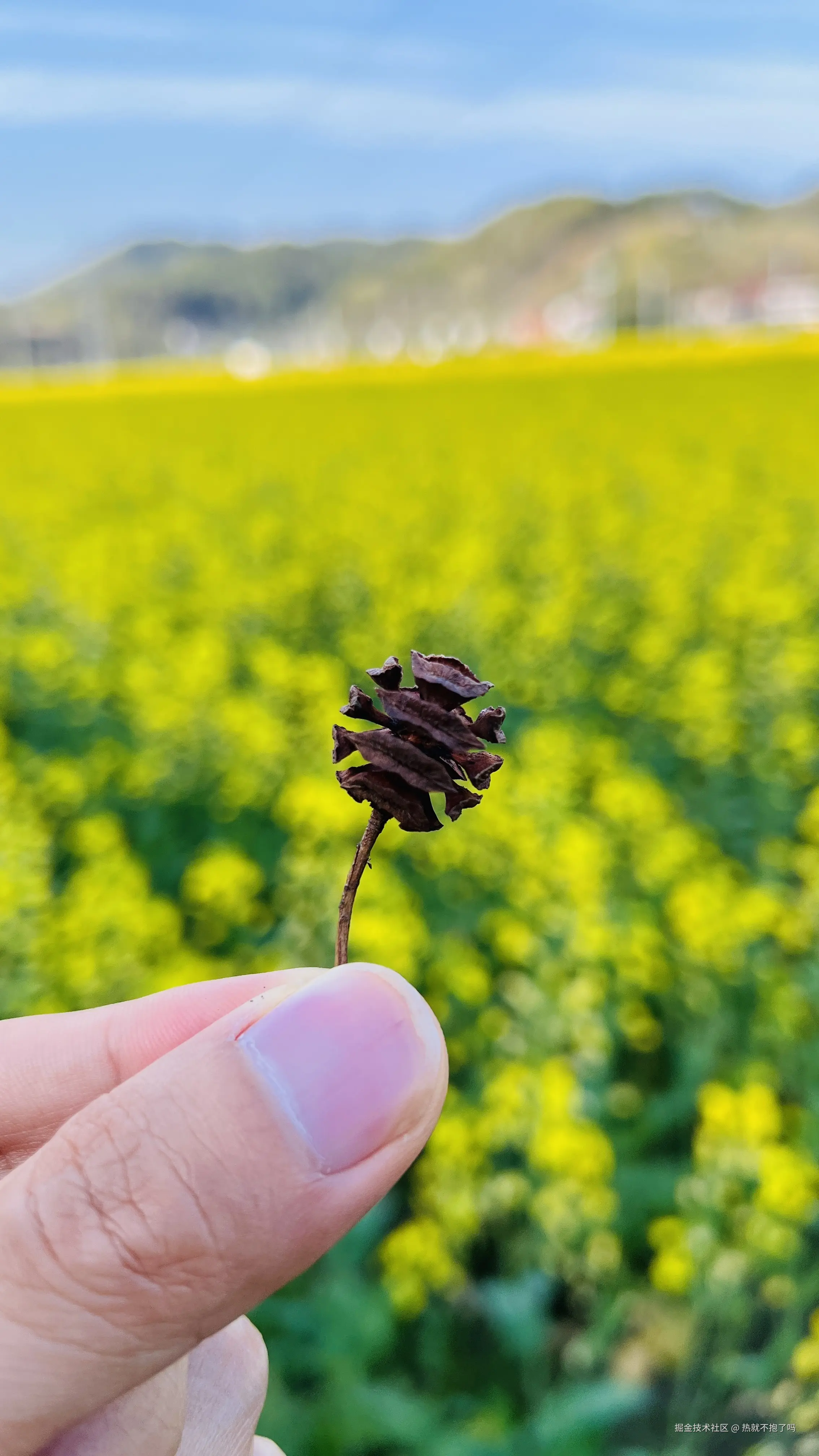 热就不抱了吗于2026-03-31 09:51发布的图片