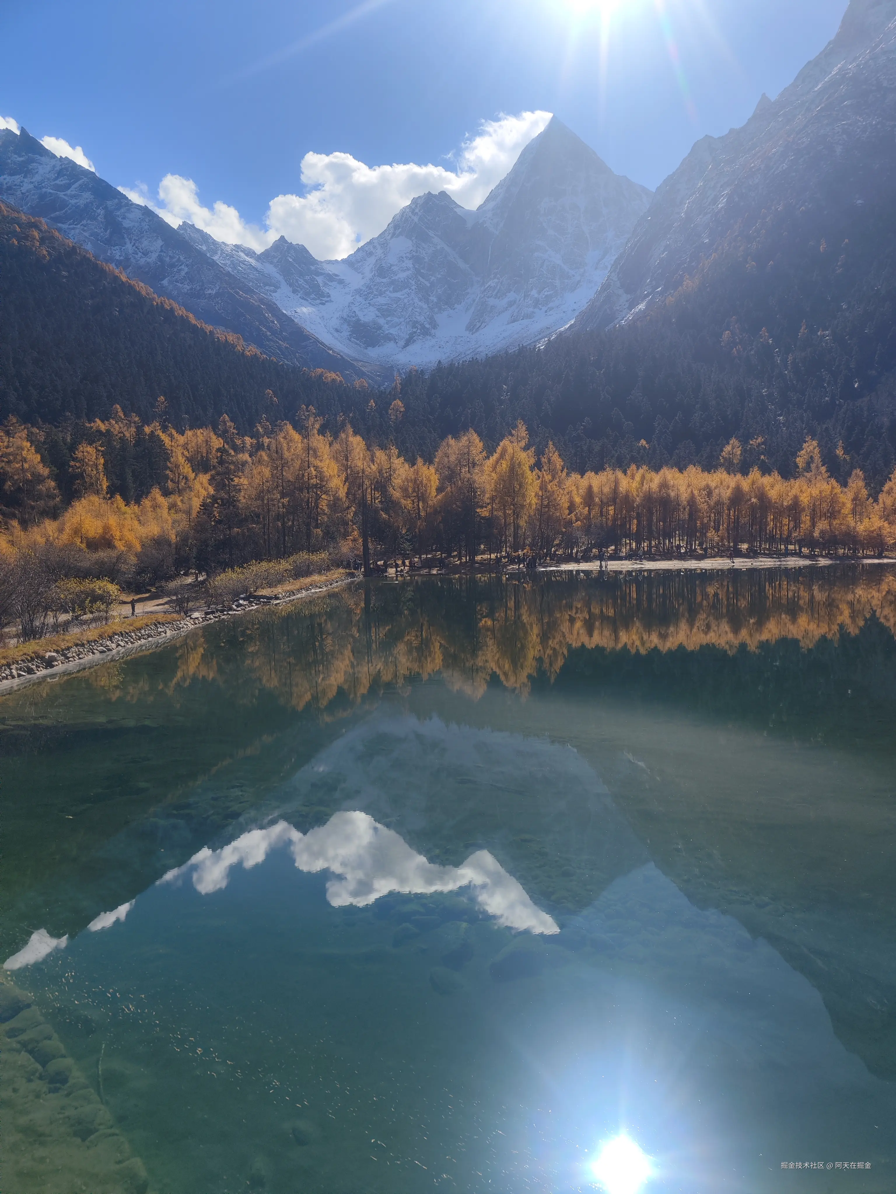 阿天在掘金于2024-11-06 15:00发布的图片