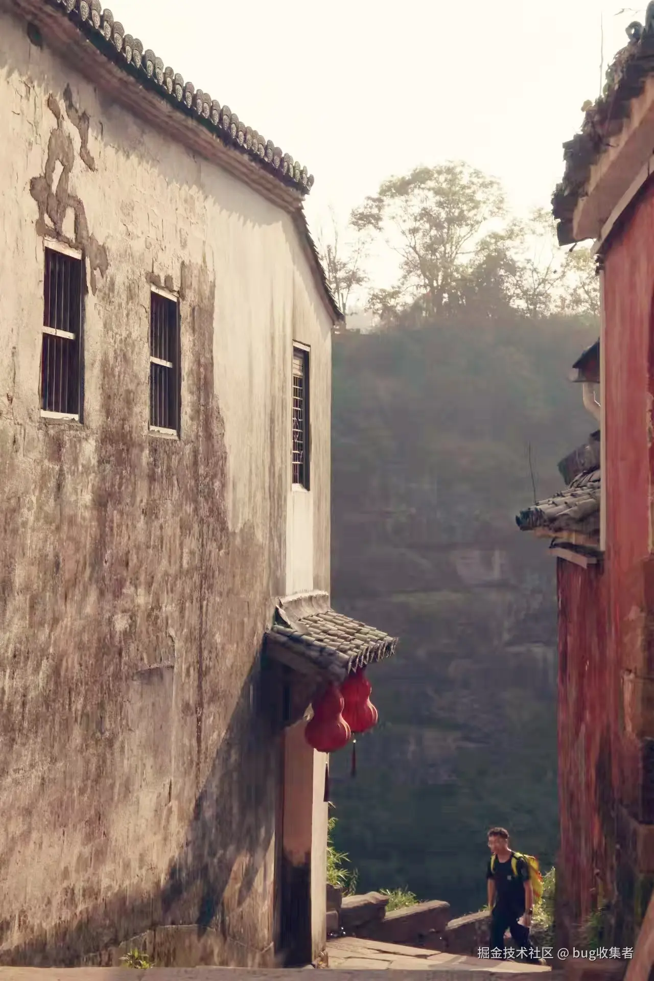 bug收集者于2024-08-19 09:29发布的图片