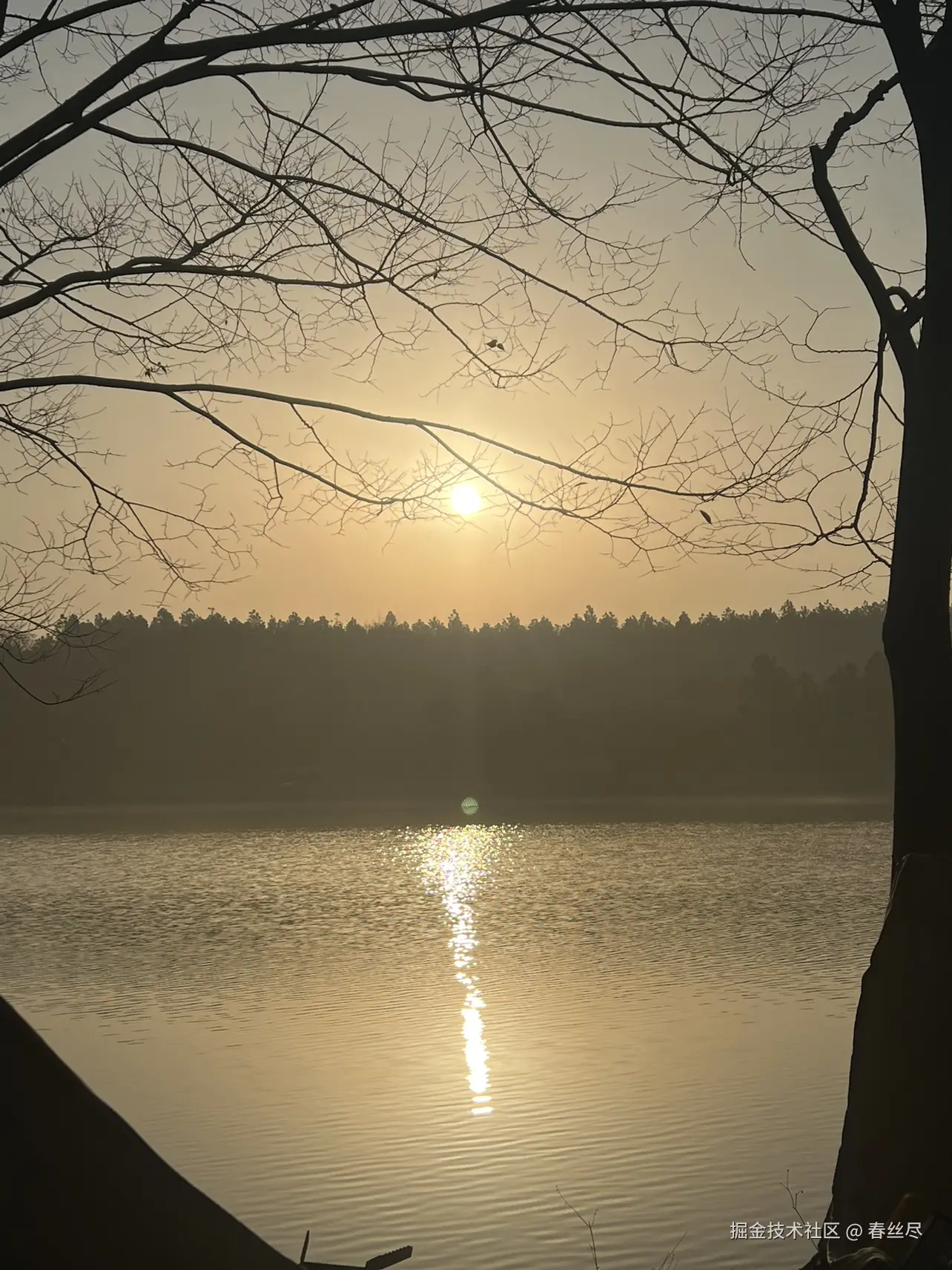 春丝尽于2026-04-17 14:40发布的图片