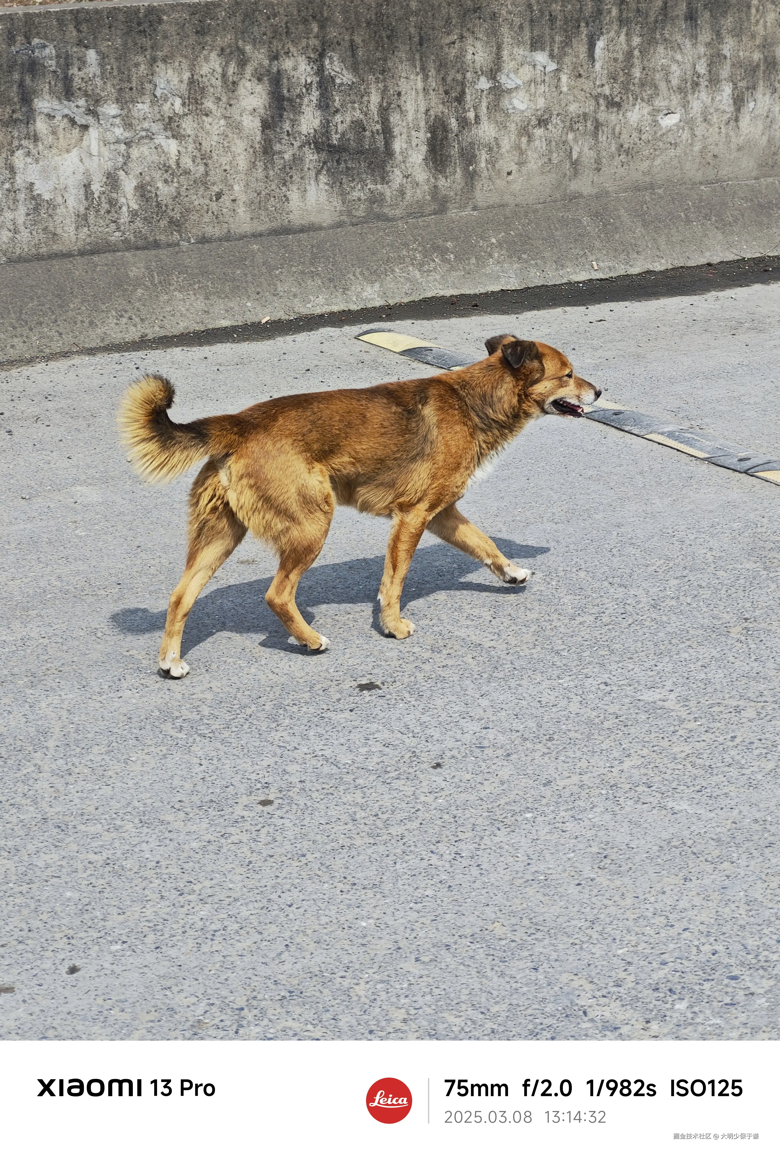 大明少保于谦于2025-03-10 15:40发布的图片