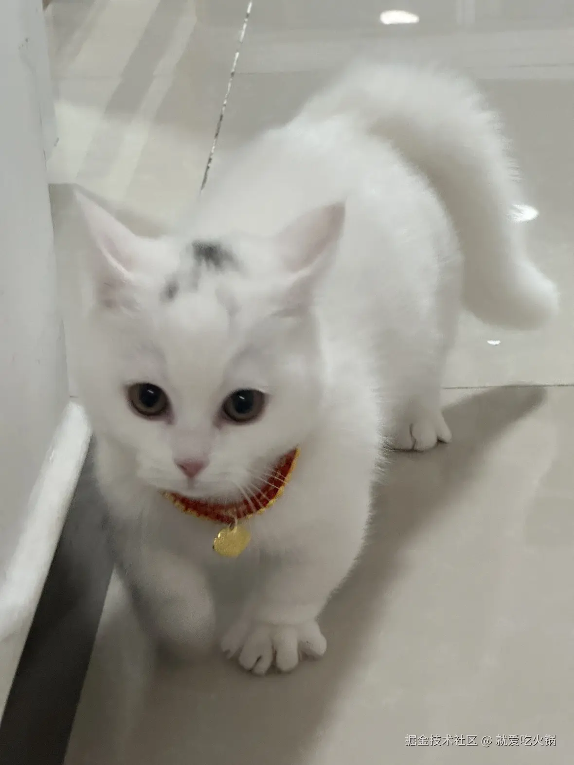 就爱吃火锅于2025-04-15 01:51发布的图片