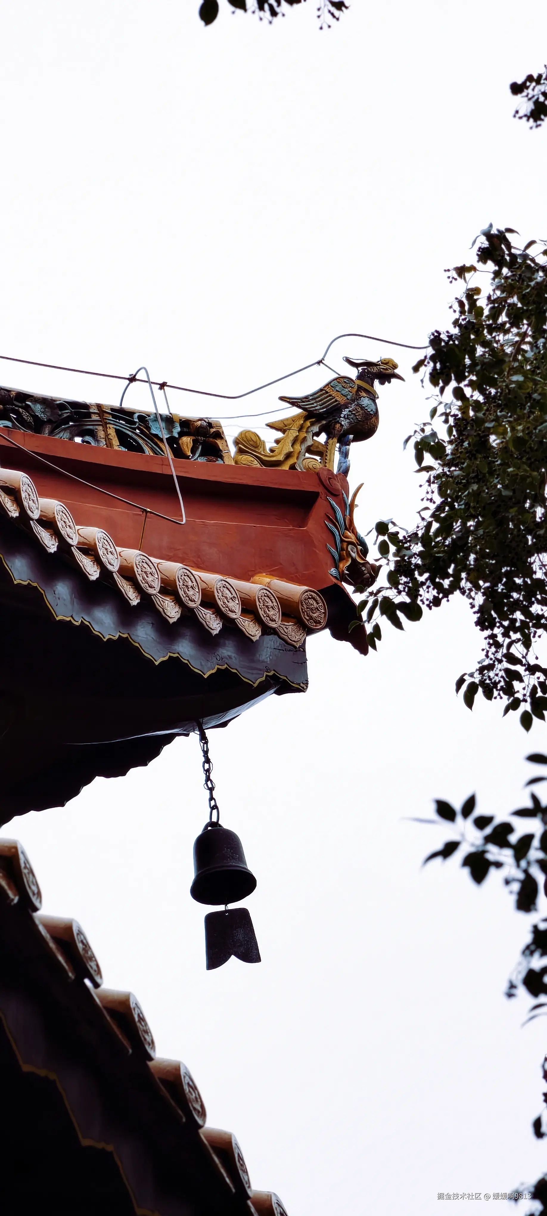 媛媛啊9813于2026-02-21 01:58发布的图片