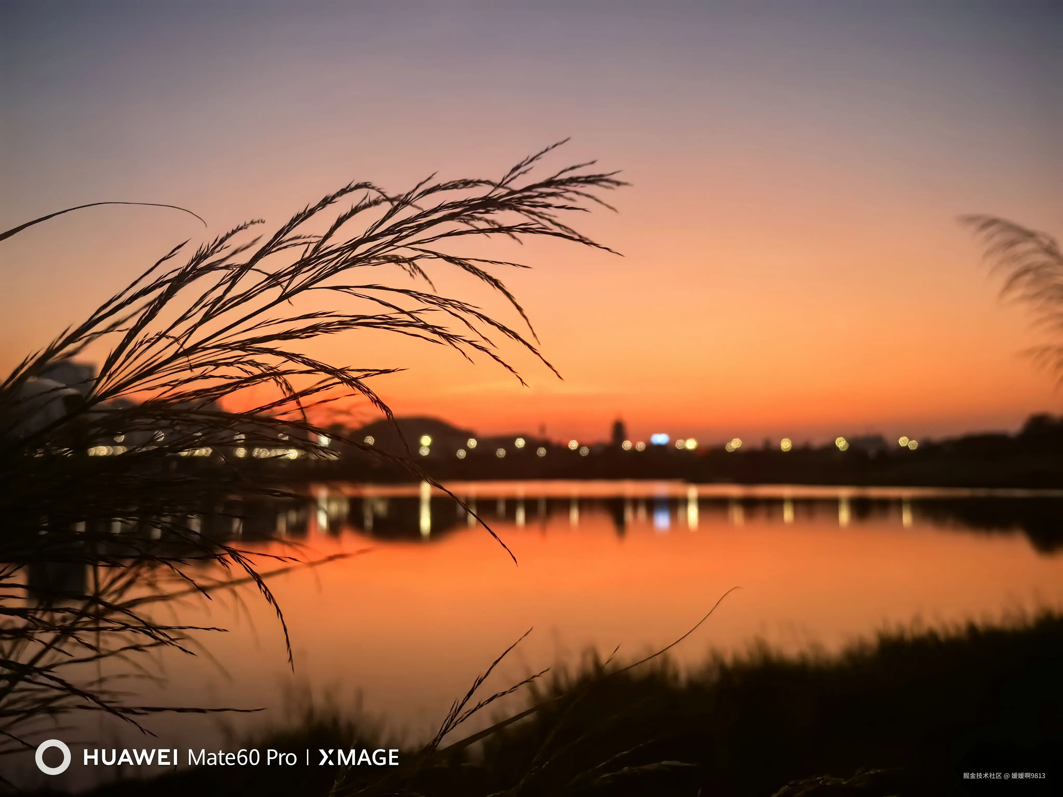 媛媛啊9813于2024-11-04 07:14发布的图片